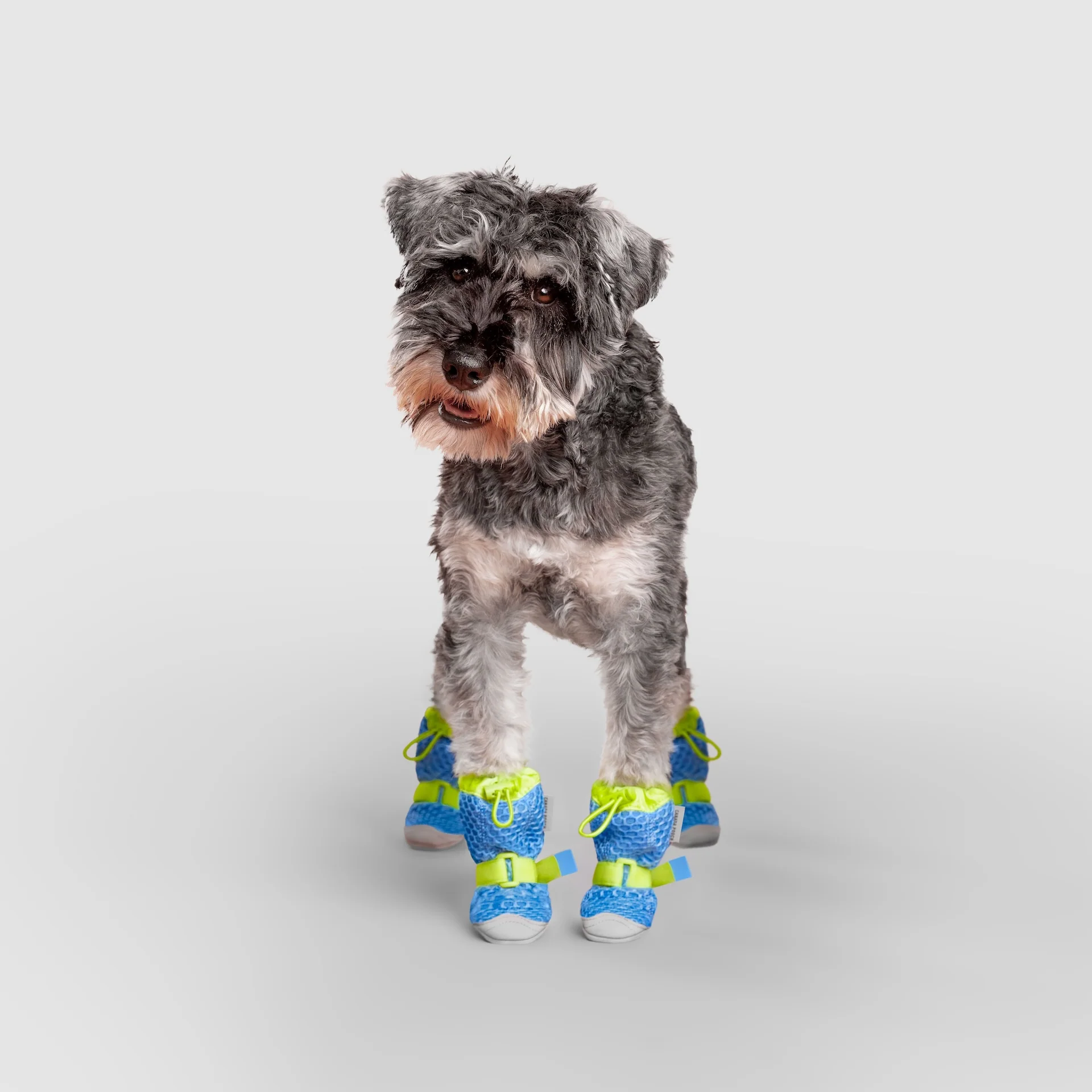 Canada Pooch Hot Pavement Boots - Image 14