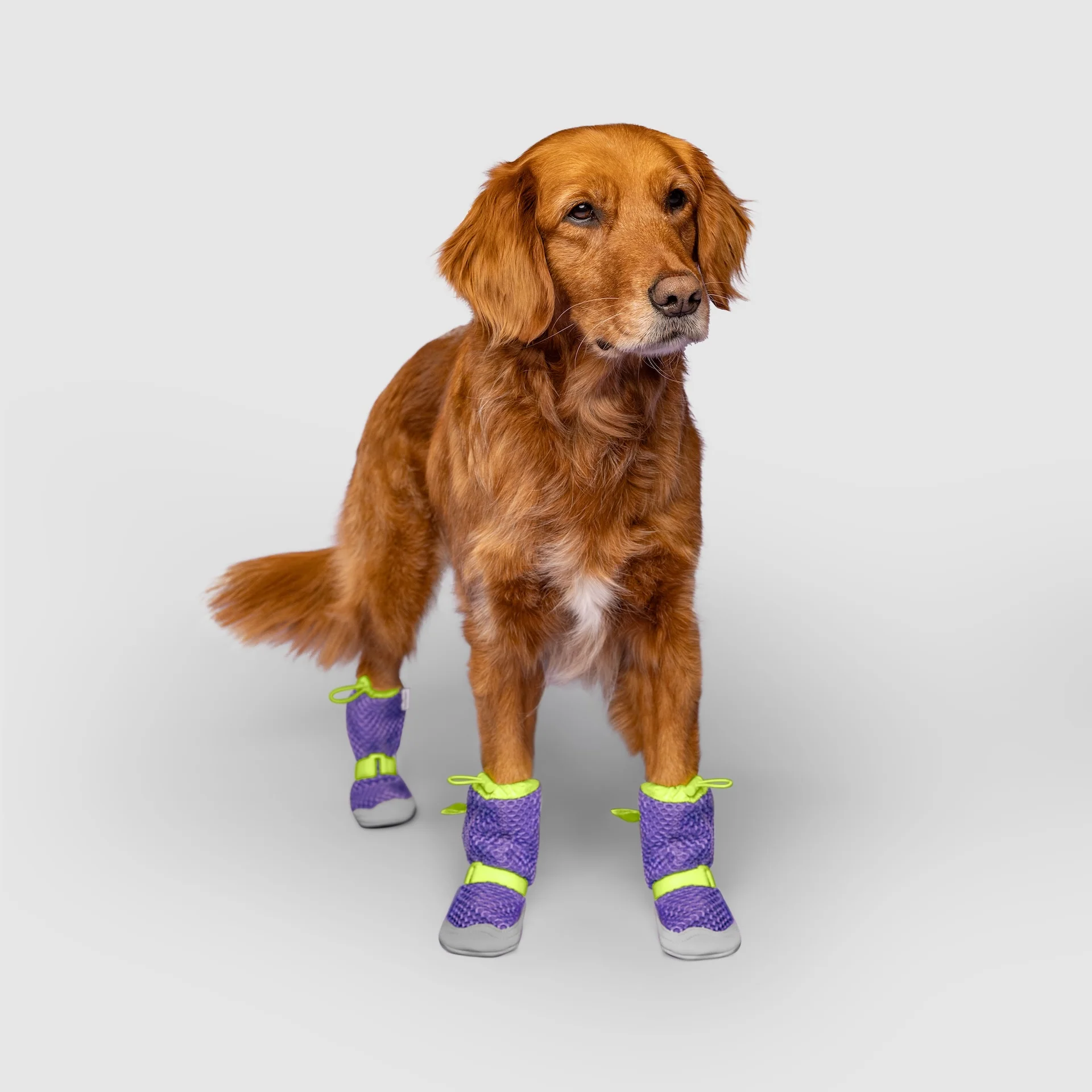 Canada Pooch Hot Pavement Boots - Image 17