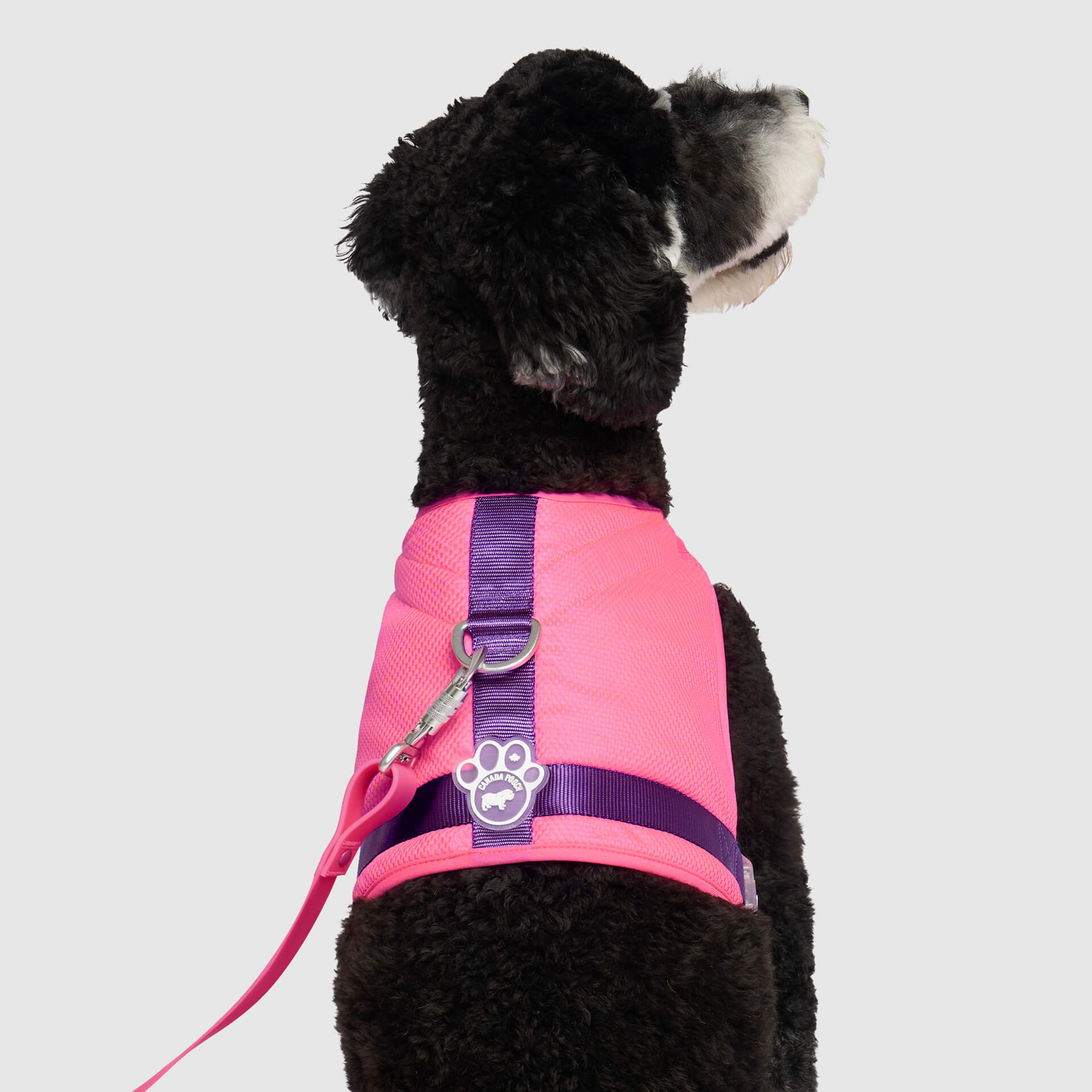 Canada Pooch Chill Seeker Cooling Harness - Image 12