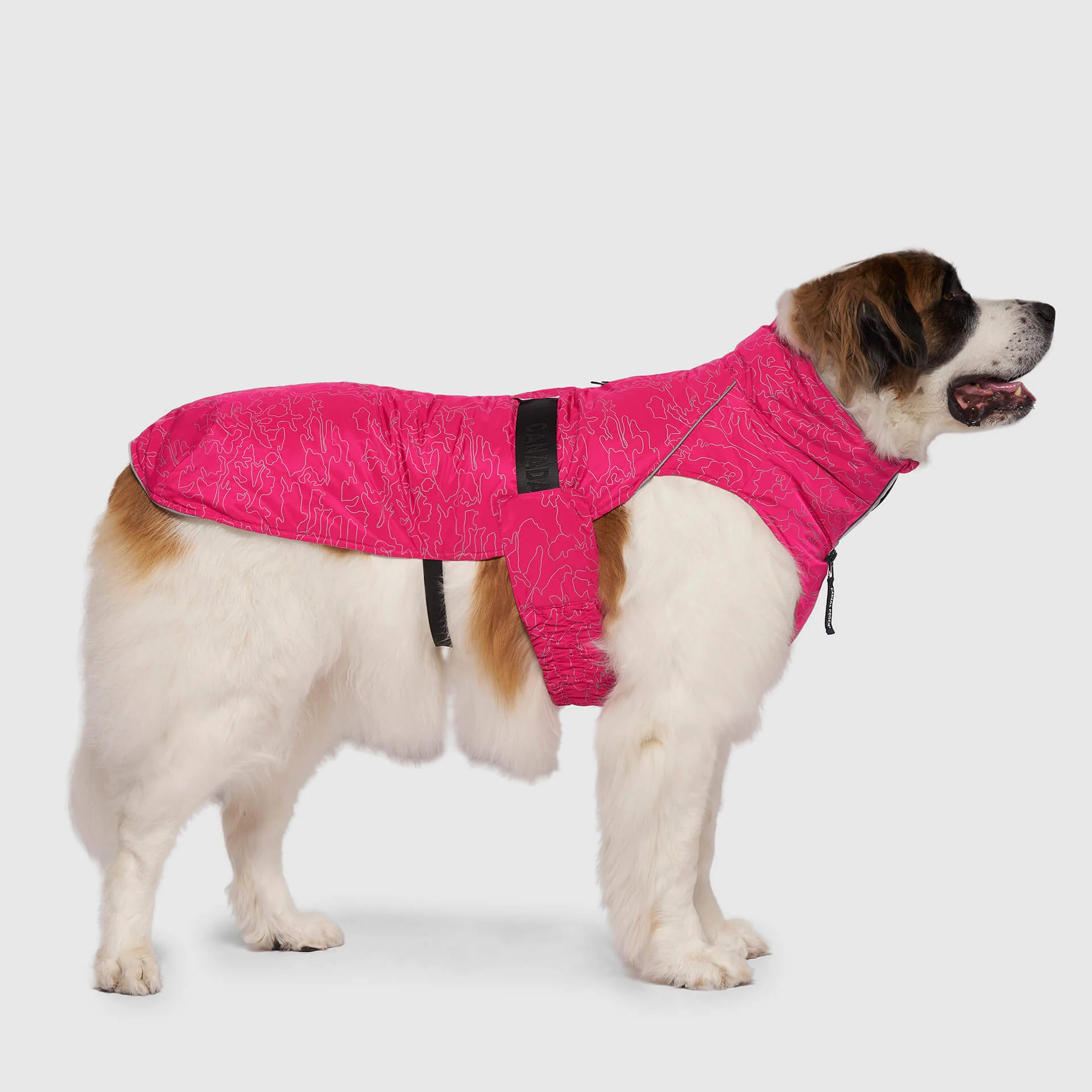 Canada Pooch Expedition Coat 2.0 - Image 10
