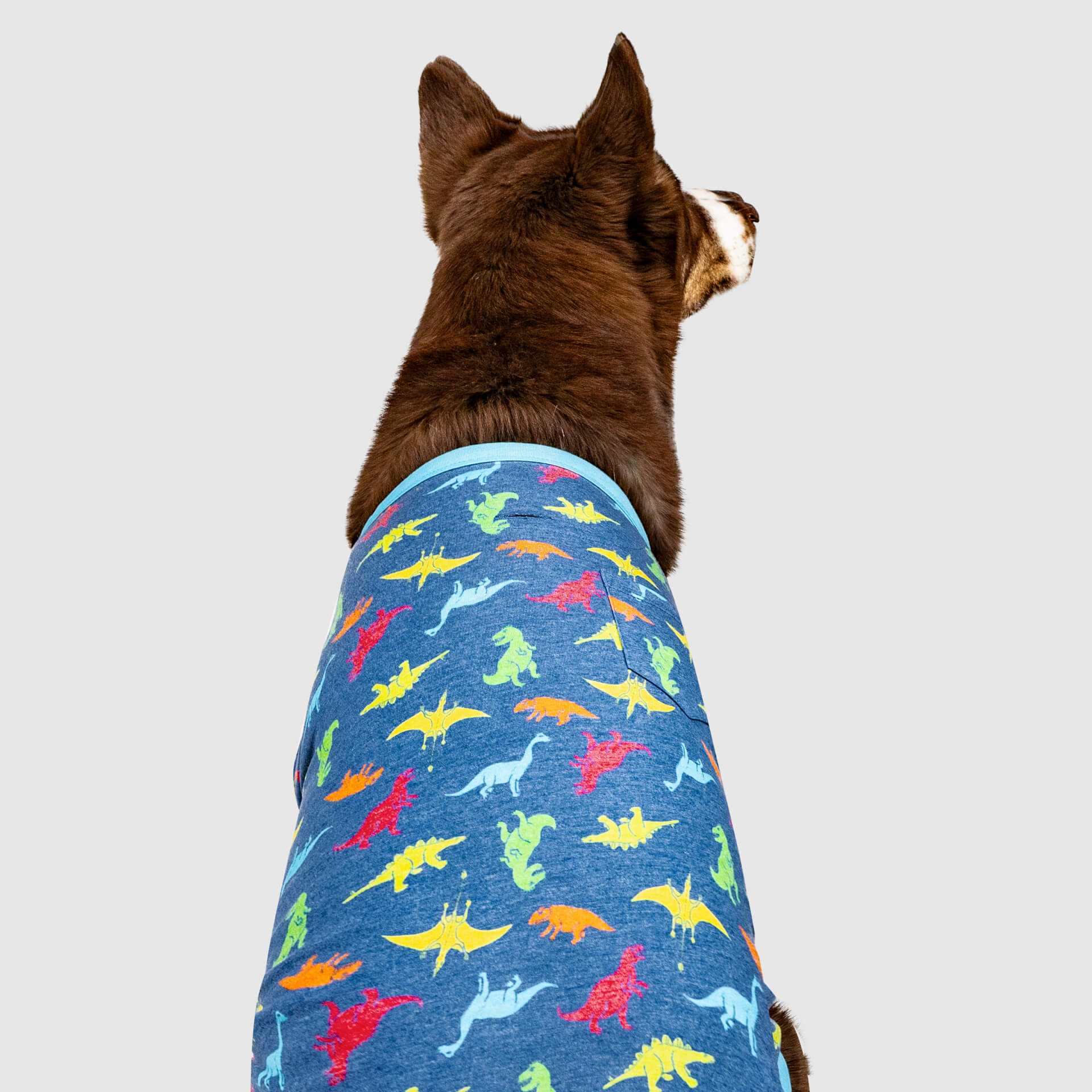 Canada Pooch Follow Me Tee - Image 15