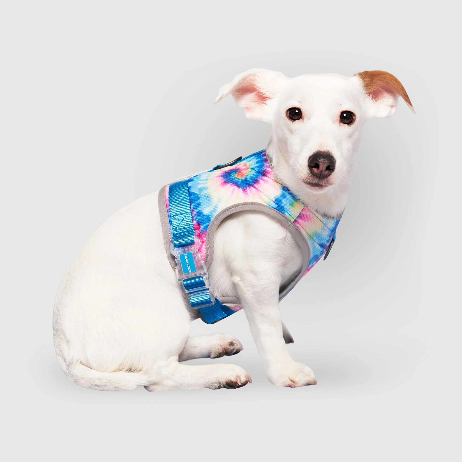 Canada Pooch Chill Seeker Cooling Harness - Image 6