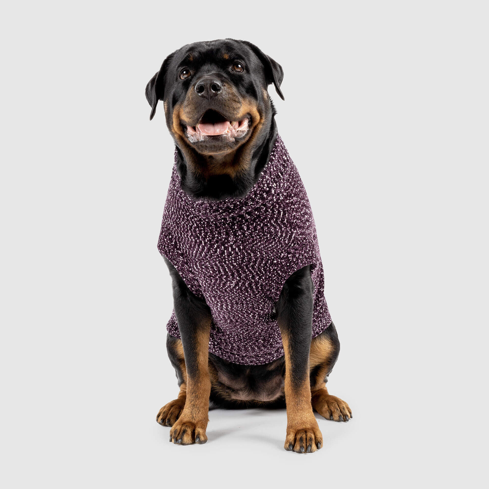 Canada Pooch Soho Sweater - Image 6