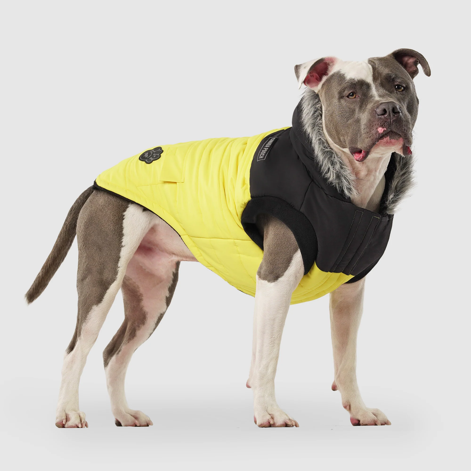 Canada Pooch True North Parka - Image 17