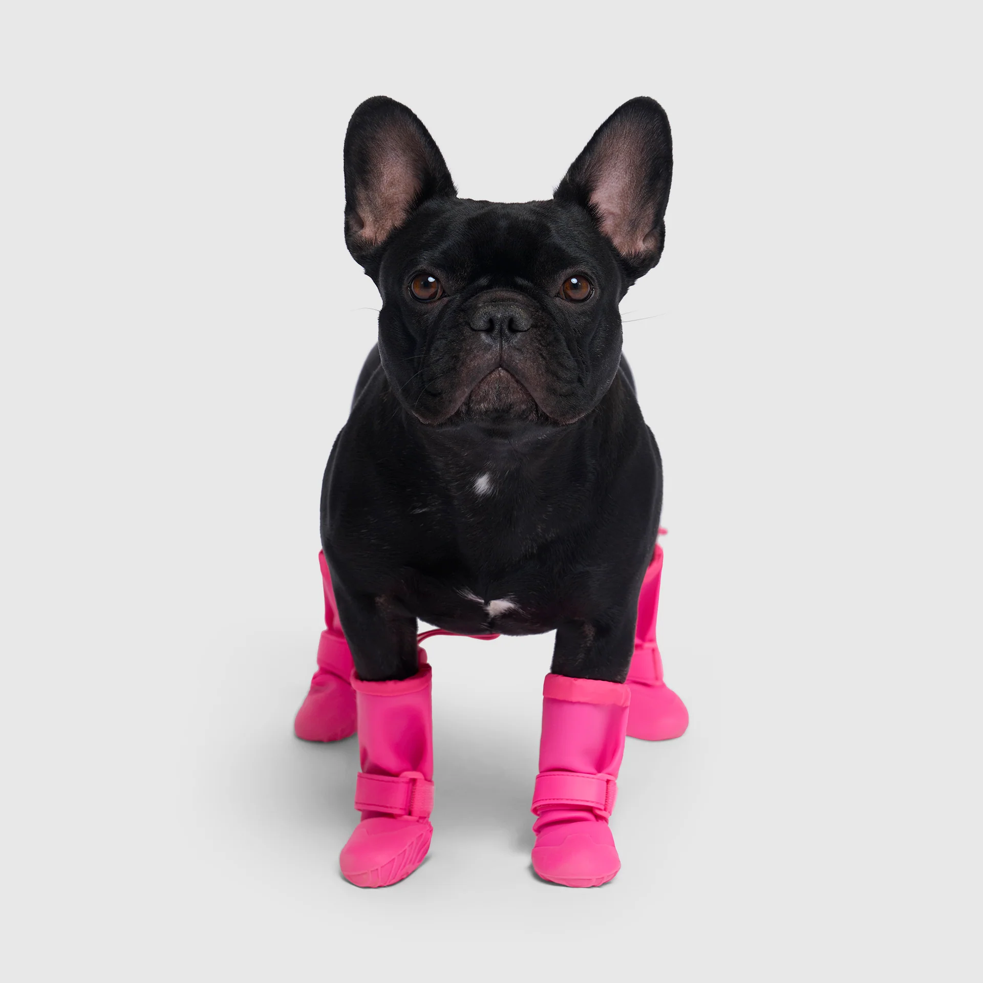 Canada Pooch Waterproof Rain Boots - Image 15