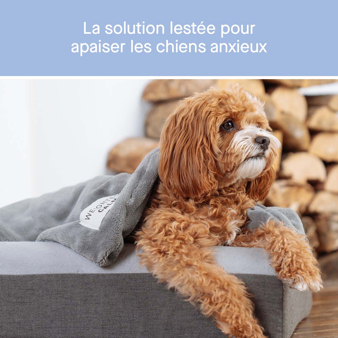 Canada Pooch Weighted Calming Blanket - Image 3