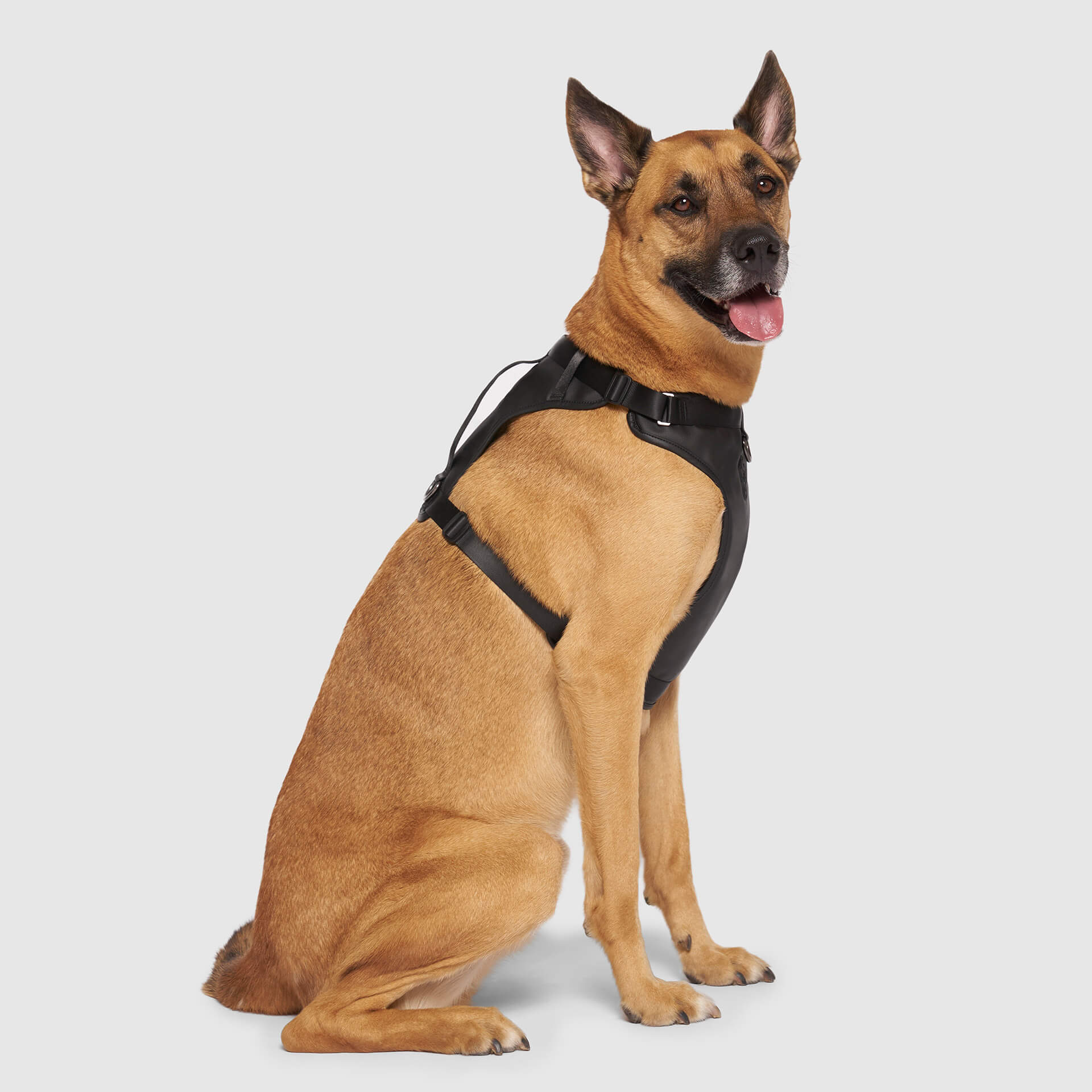 Canada Pooch Eco+ Everything Harness - Image 2