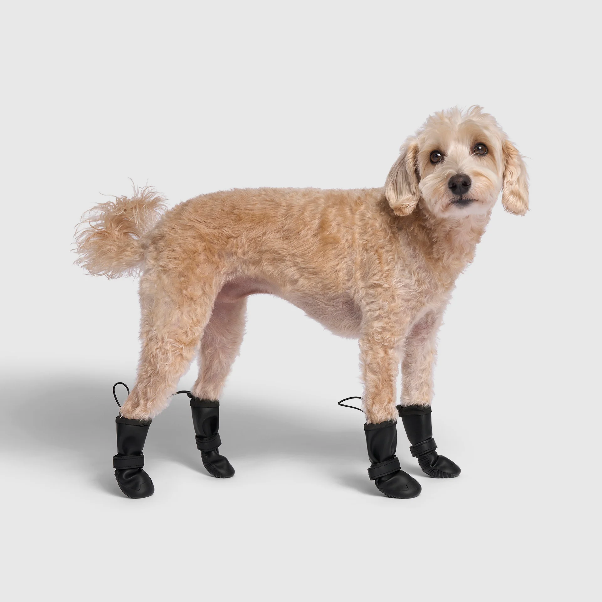 Canada Pooch Waterproof Rain Boots - Image 7
