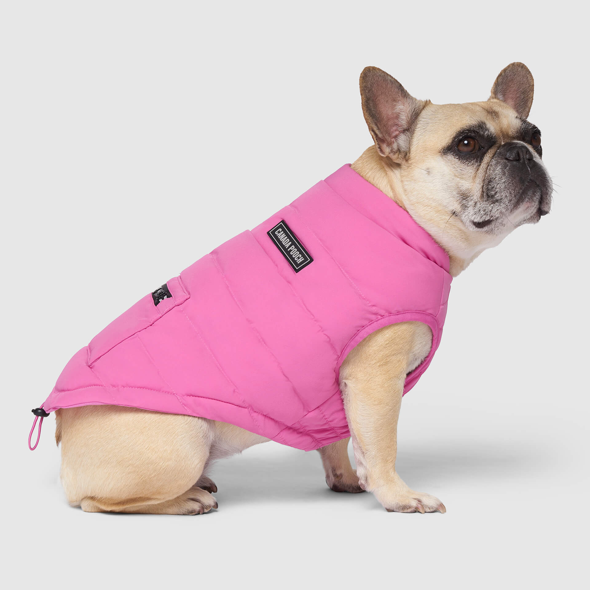 Canada Pooch Ultimate Stretch Vest - Image 6