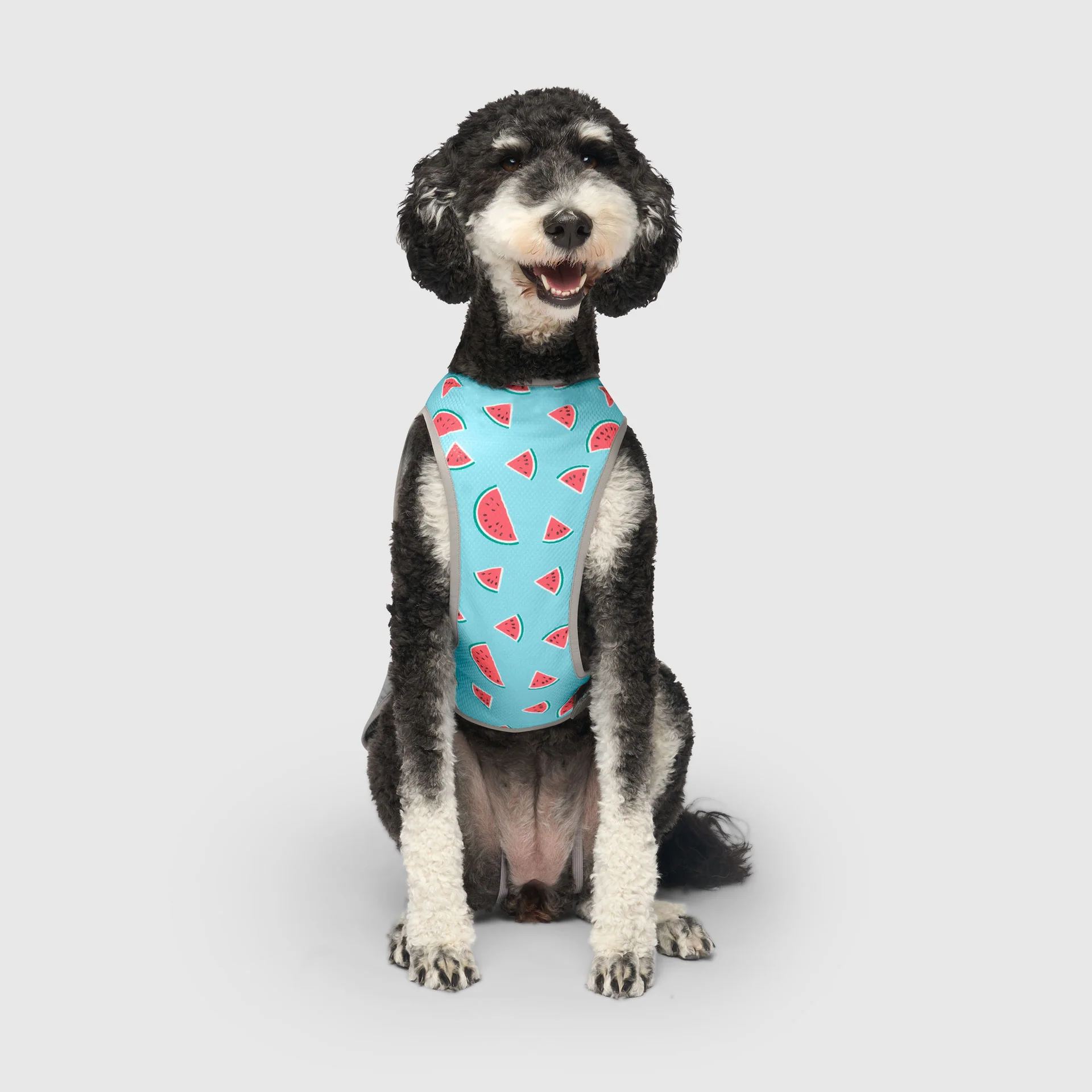 Canada Pooch Chill Seeker Cooling Vest - Image 43
