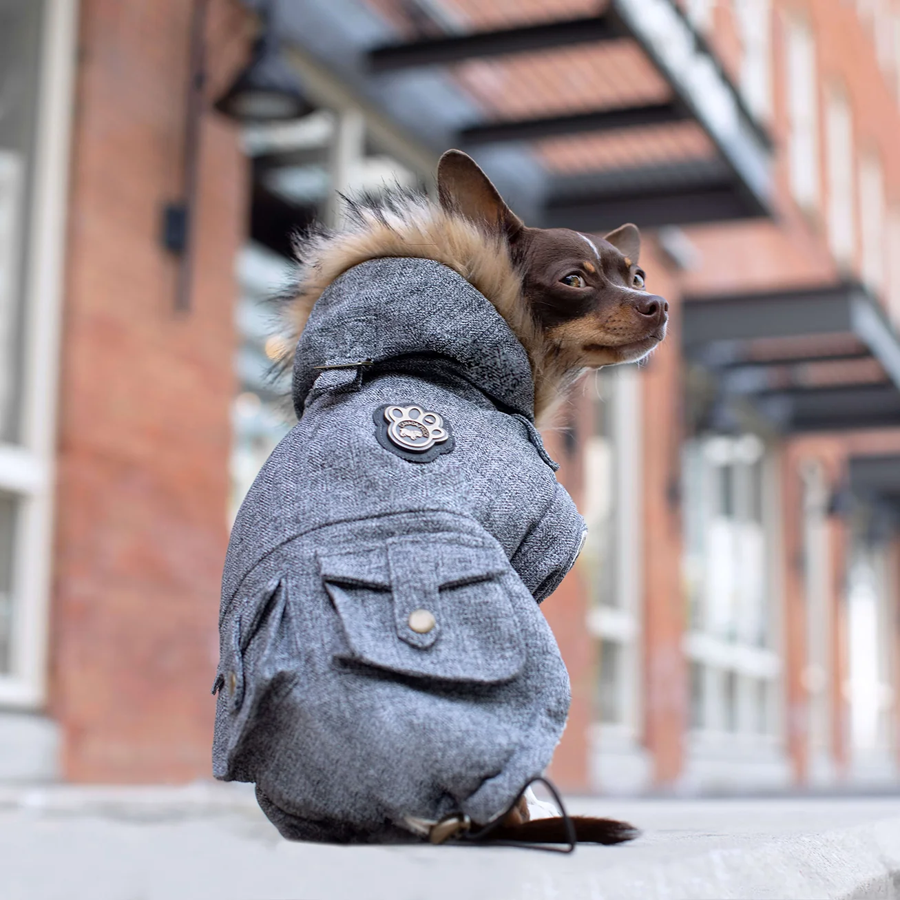 Canada Pooch Alaskan Army Parka - Image 18