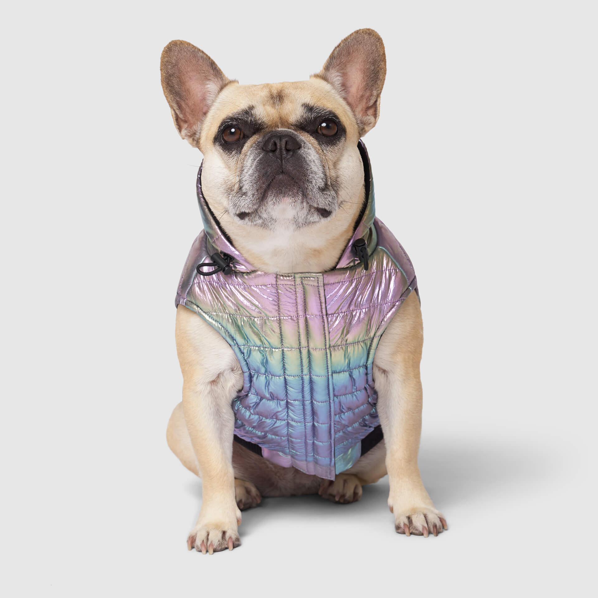 Canada Pooch Shiny Puffer Vest - Image 10