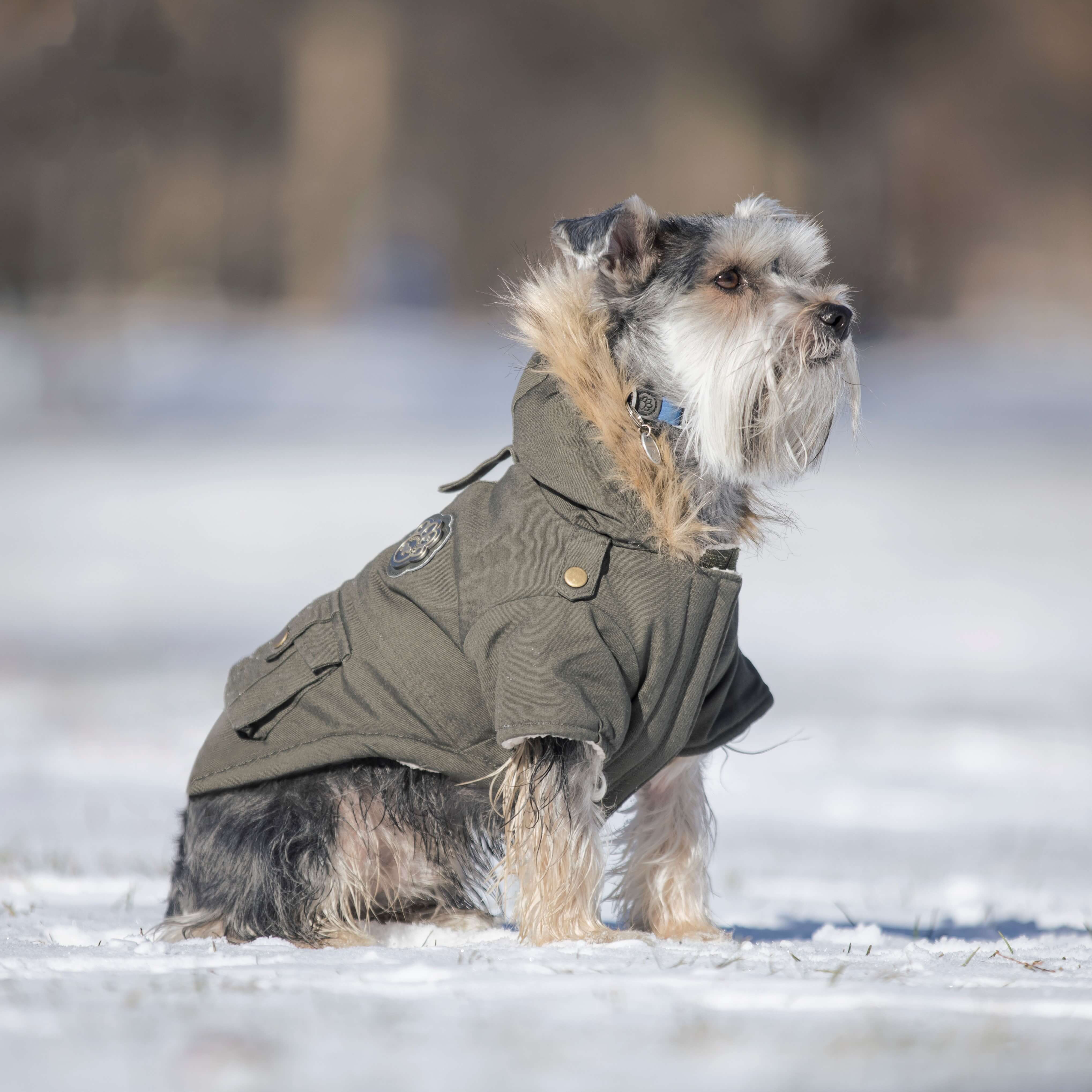Canada Pooch Alaskan Army Parka - Image 10