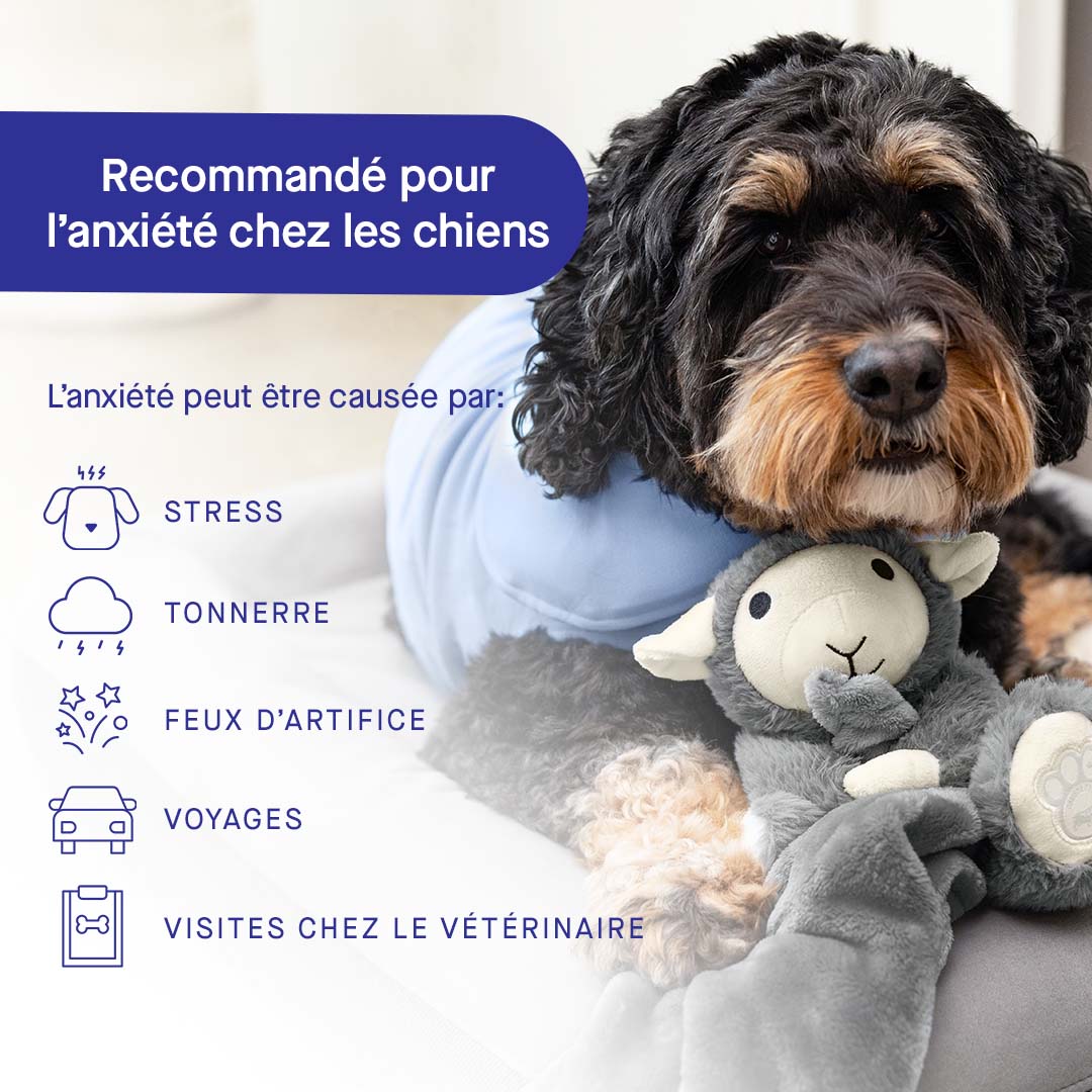 Canada Pooch Weighted Calming Toy - Image 29