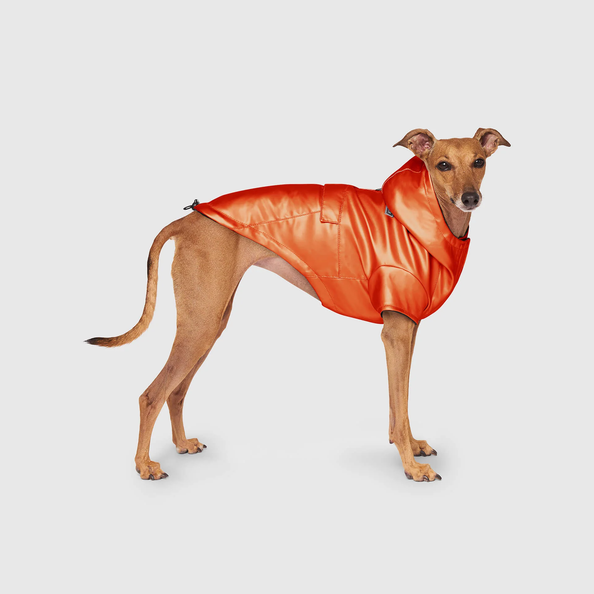Canada Pooch Cold Front Raincoat
