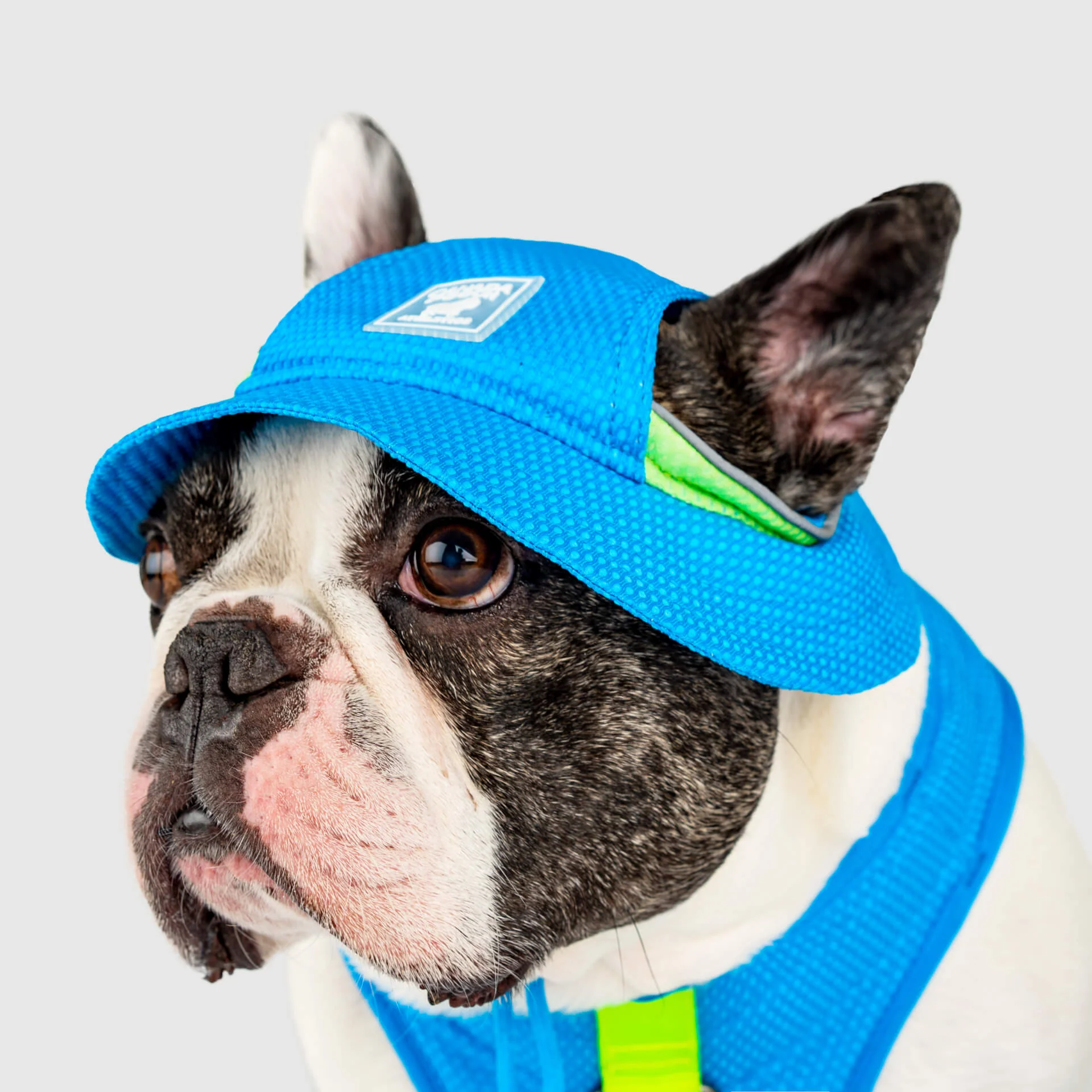 Canada Pooch Chill Seeker Cooling Hat