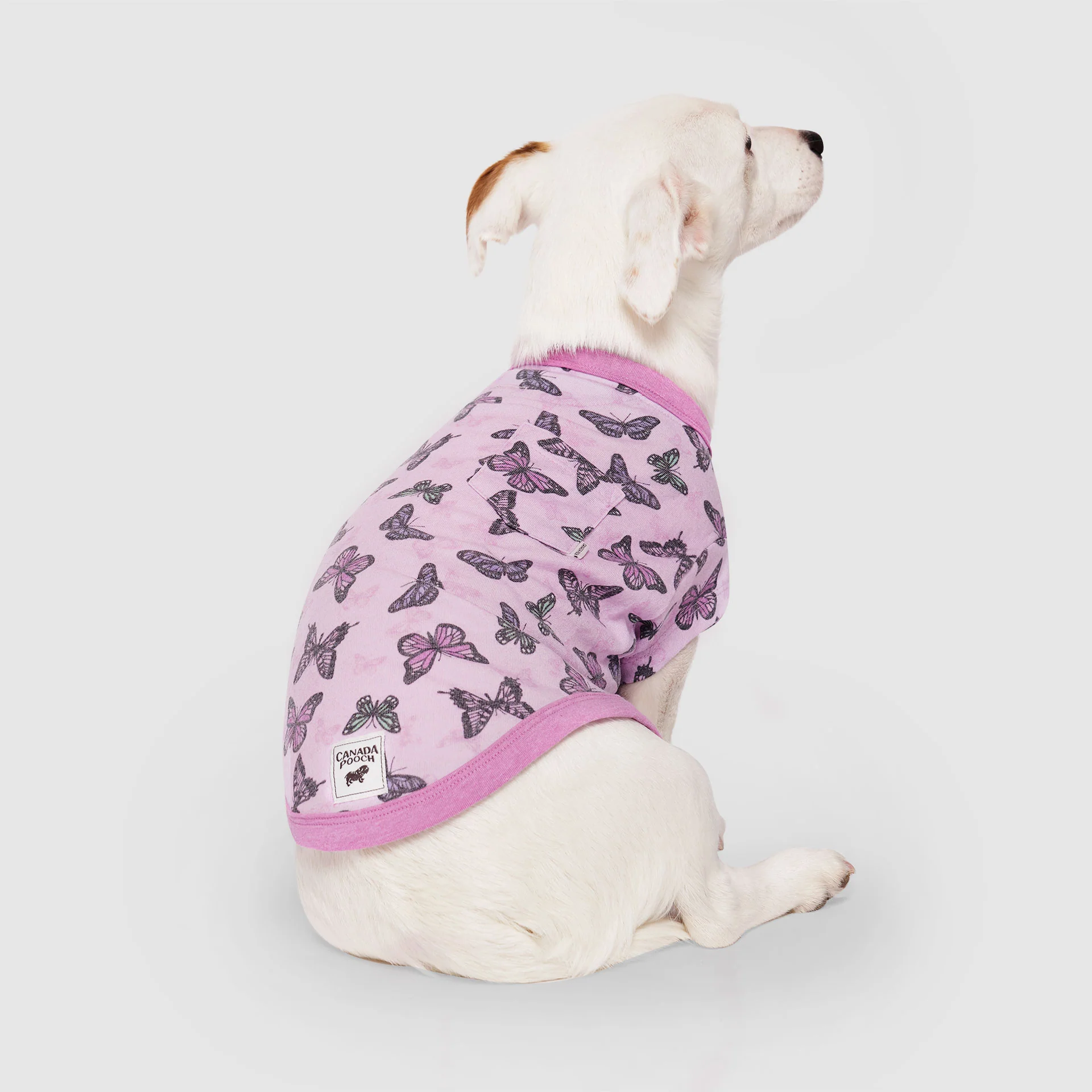 Canada Pooch Follow Me Tee - Image 3