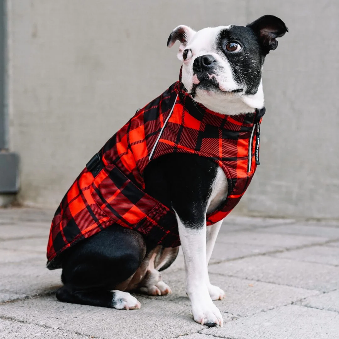 Canada Pooch Expedition Coat 2.0 - Image 9