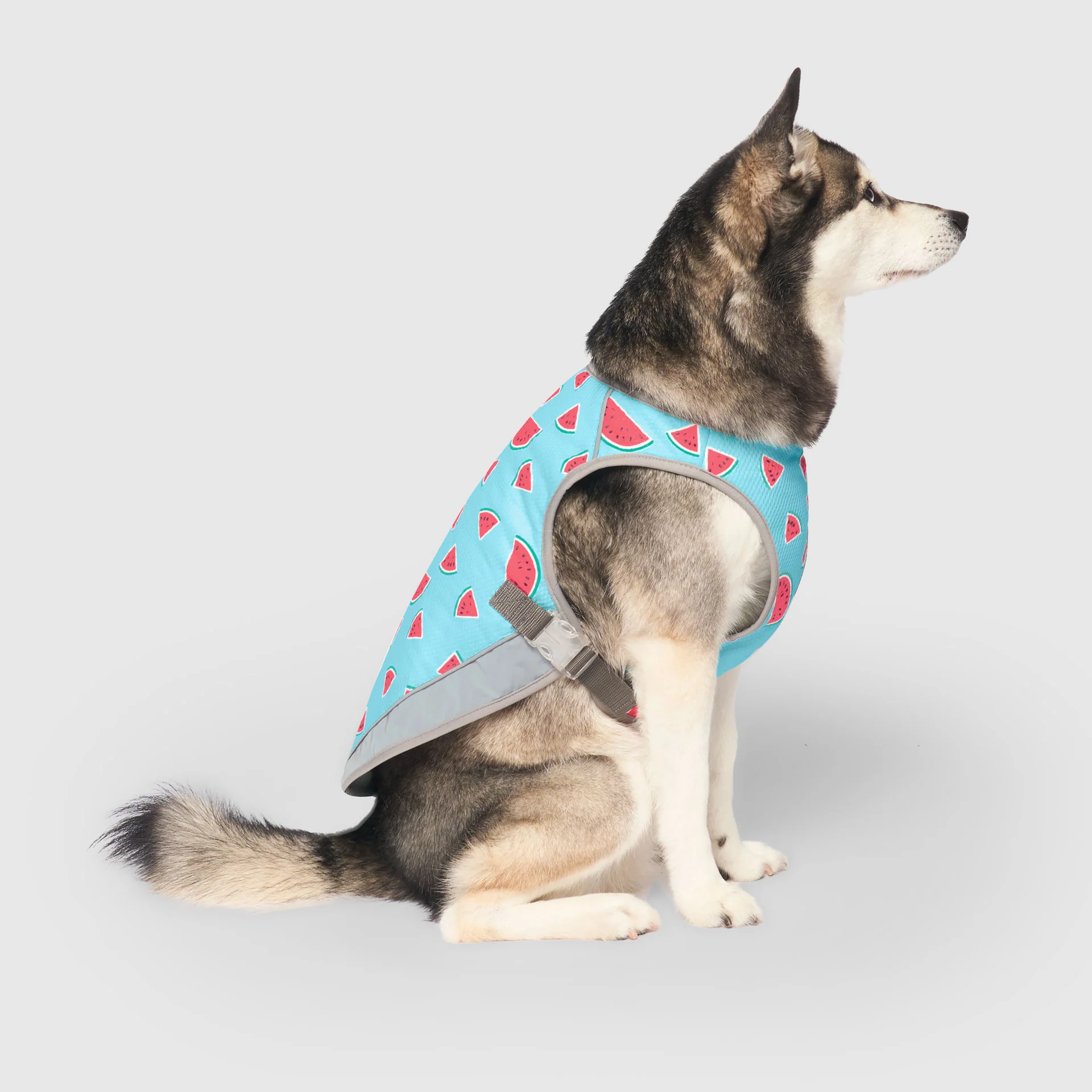 Canada Pooch Chill Seeker Cooling Vest - Image 40