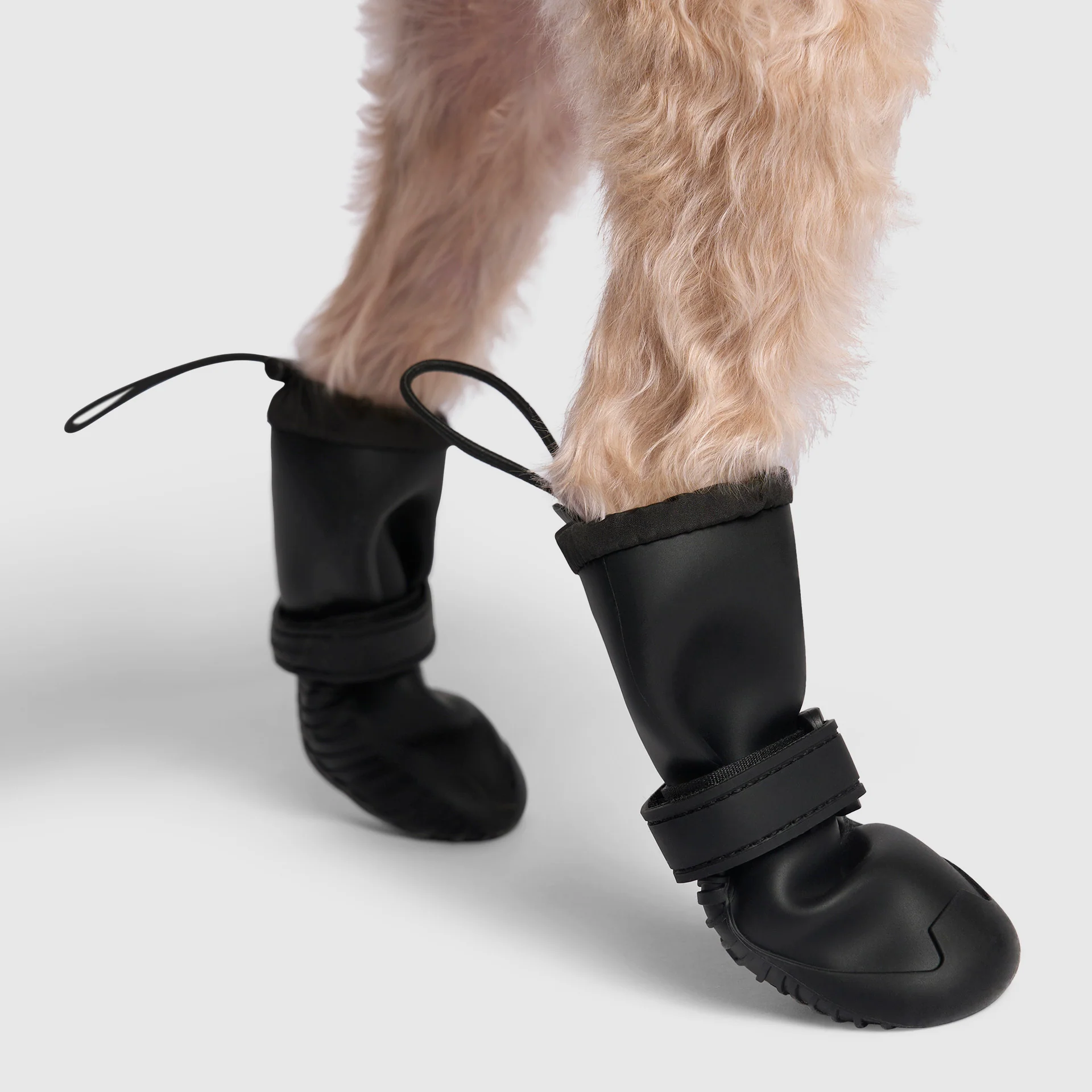 Canada Pooch Waterproof Rain Boots - Image 8