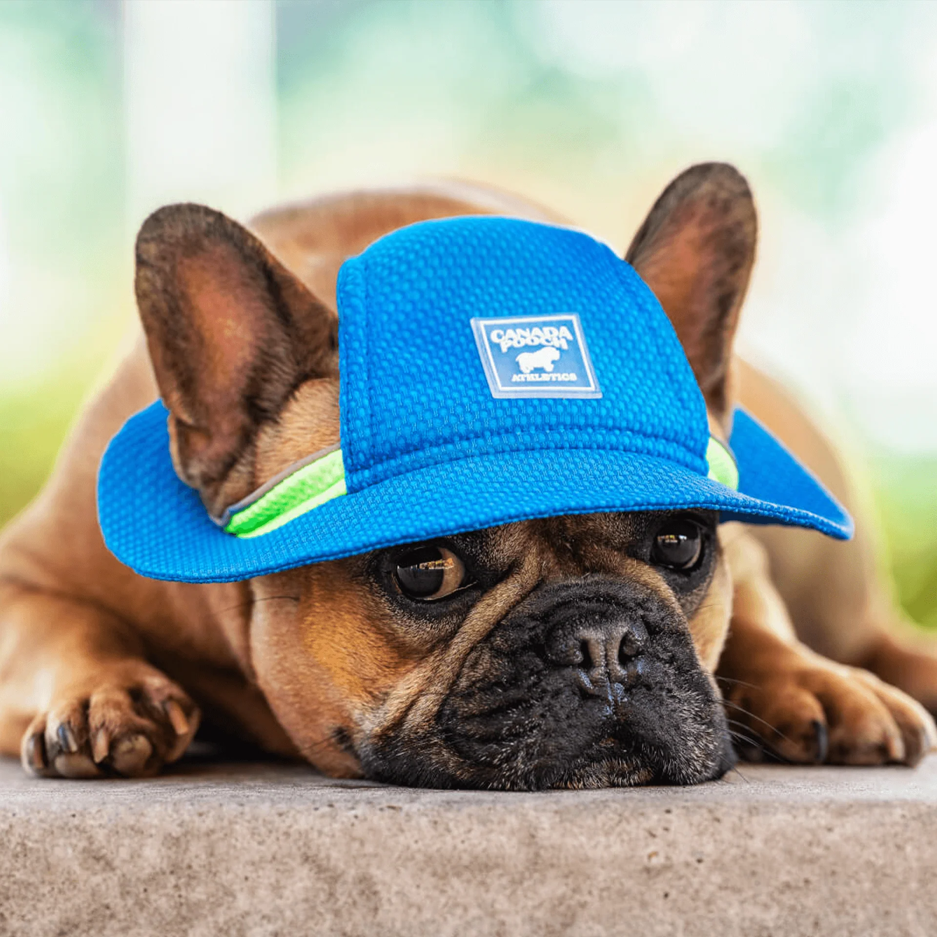 Canada Pooch Chill Seeker Cooling Hat - Image 4