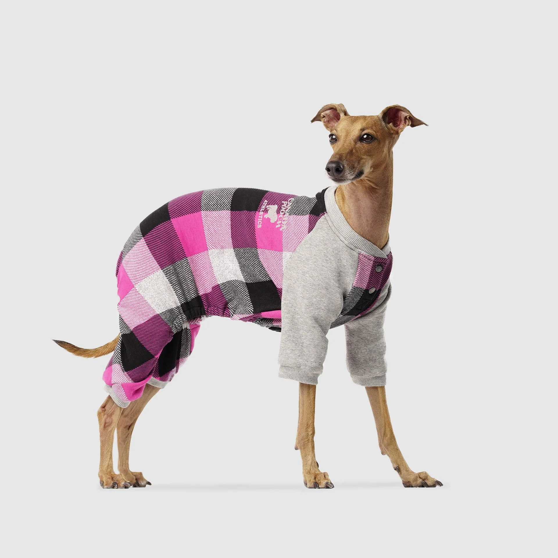 Canada Pooch Frosty Fleece Sweatsuit