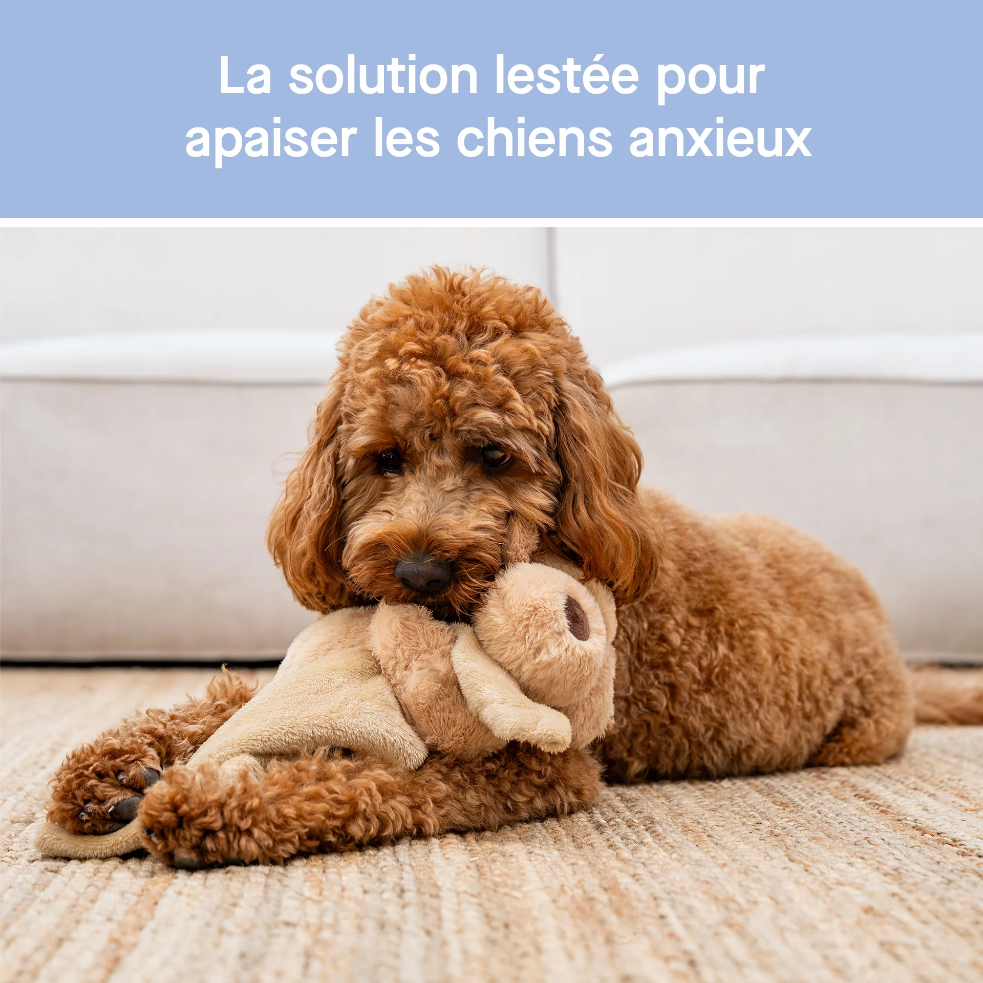 Canada Pooch Weighted Calming Toy - Image 14