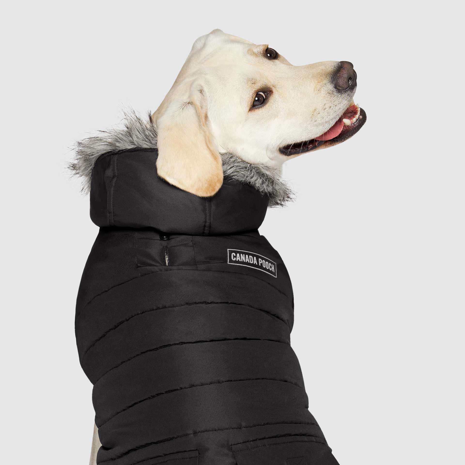 Canada Pooch True North Parka - Image 23