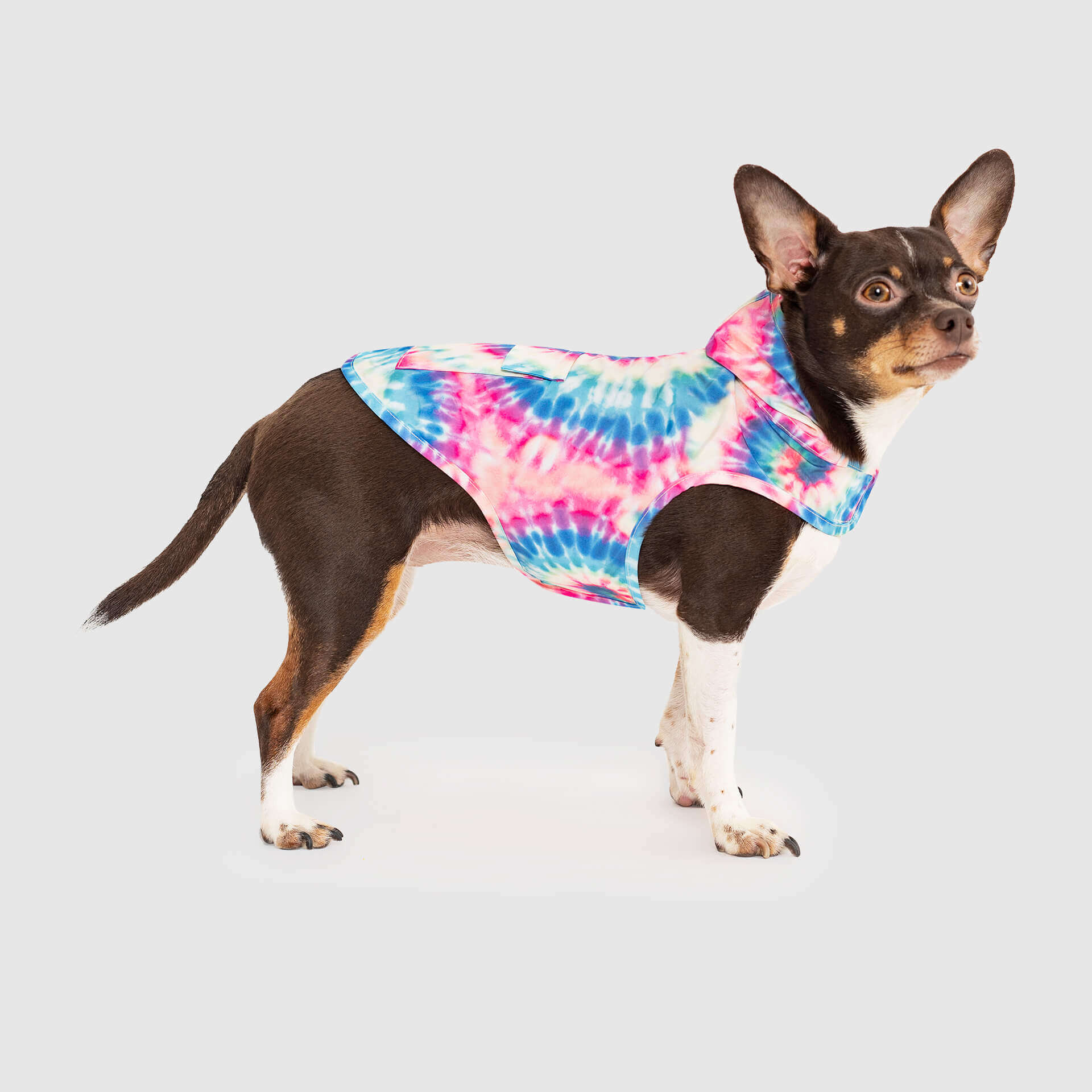 Canada Pooch Pick Me Poncho — SKU SB-A53199-ADDD5996031858 - Image 11