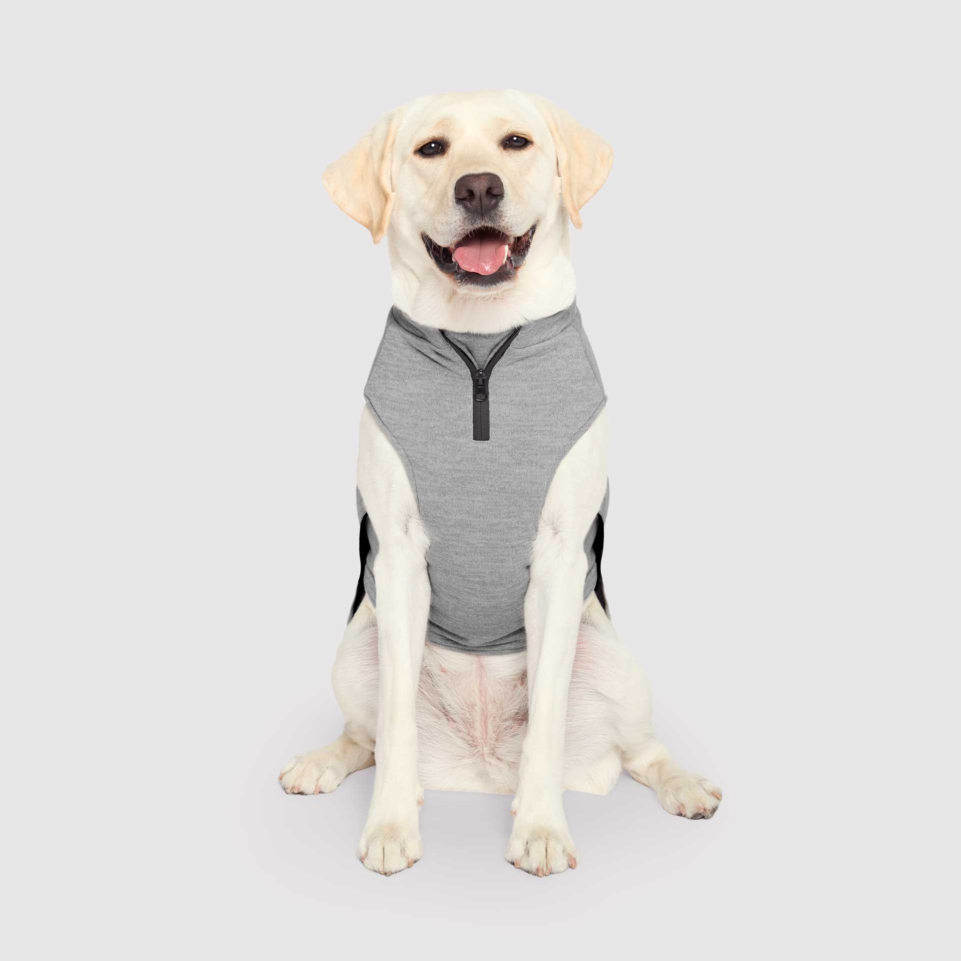 Canada Pooch Waterproof Sweater - Image 5