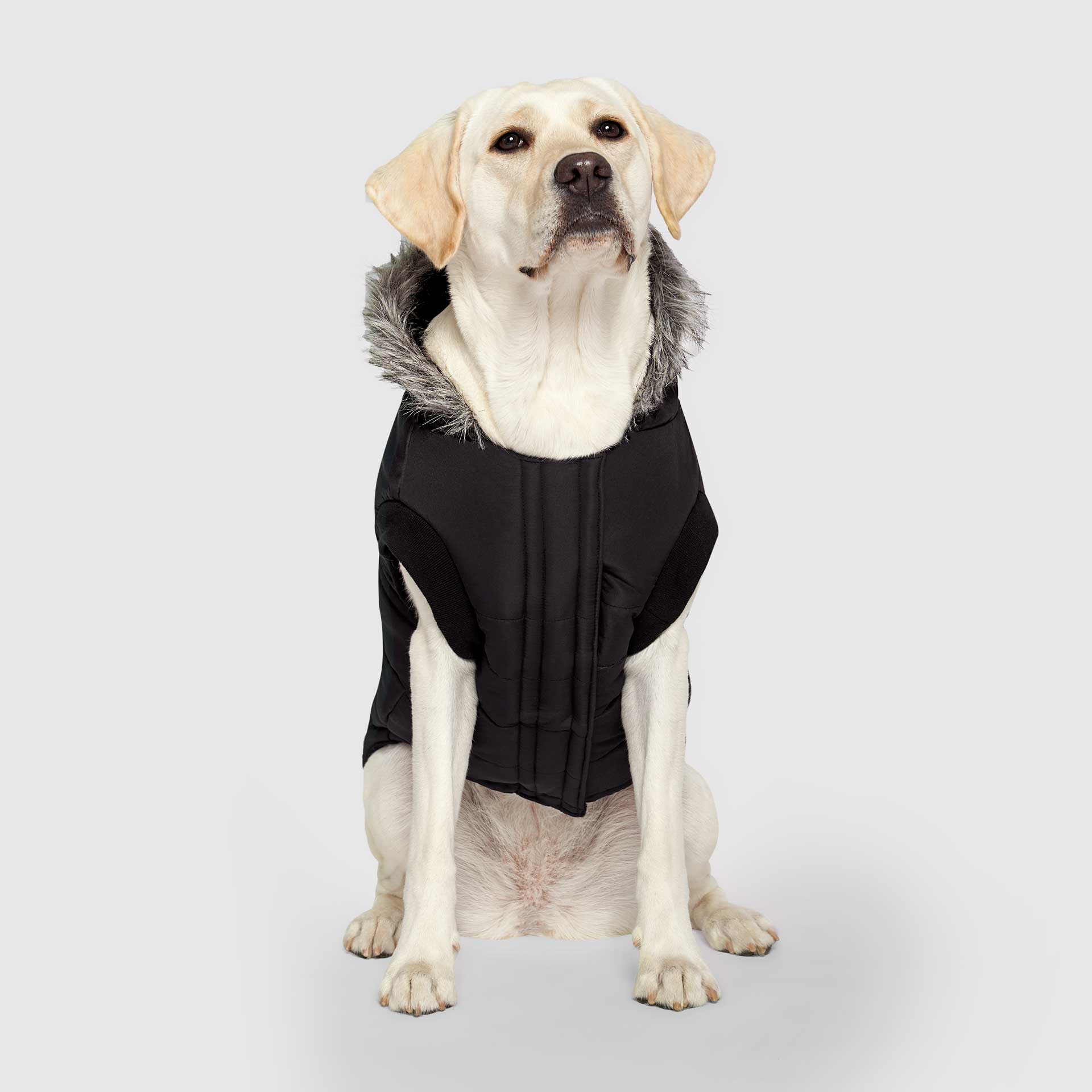Canada Pooch True North Parka - Image 22