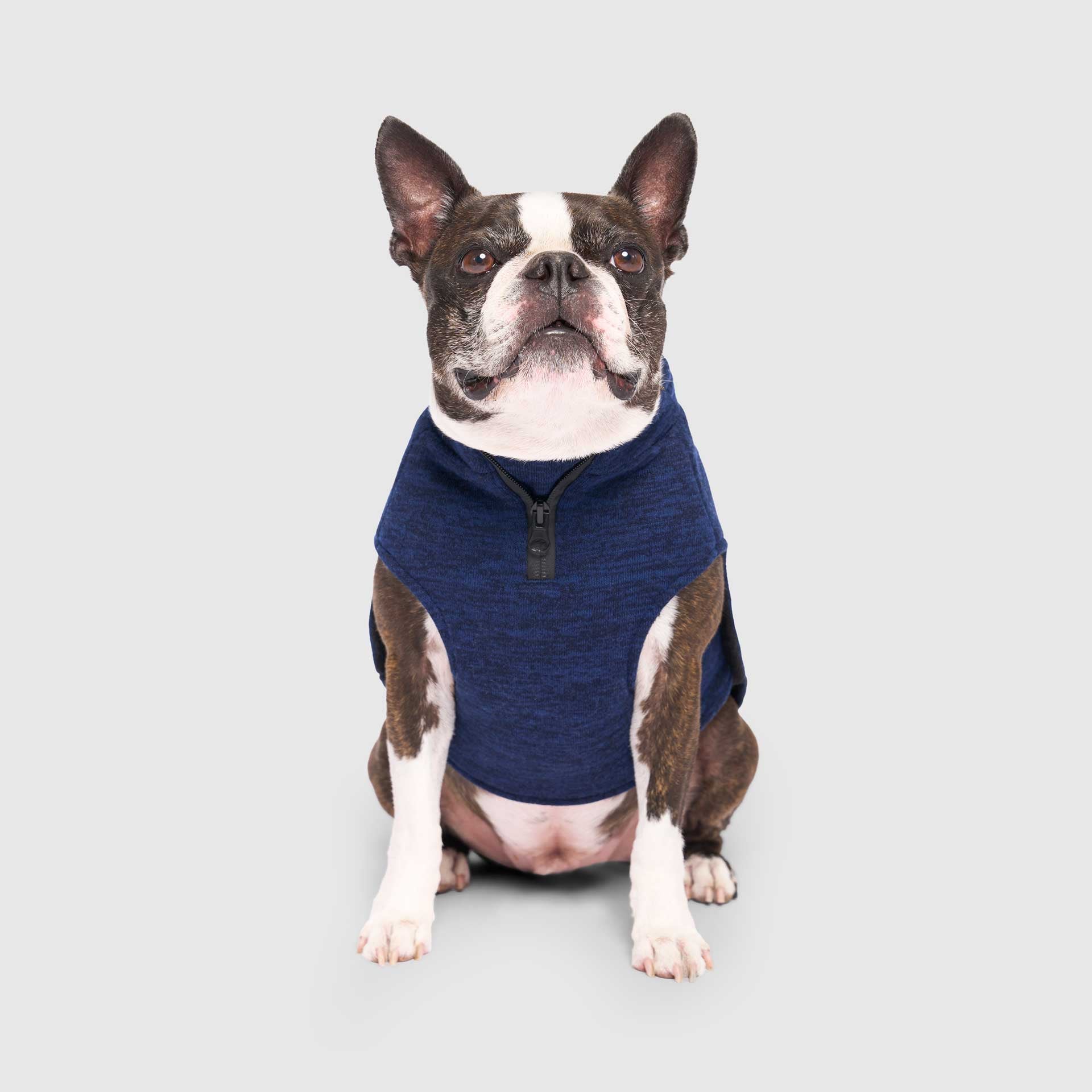 Canada Pooch Waterproof Sweater - Image 9