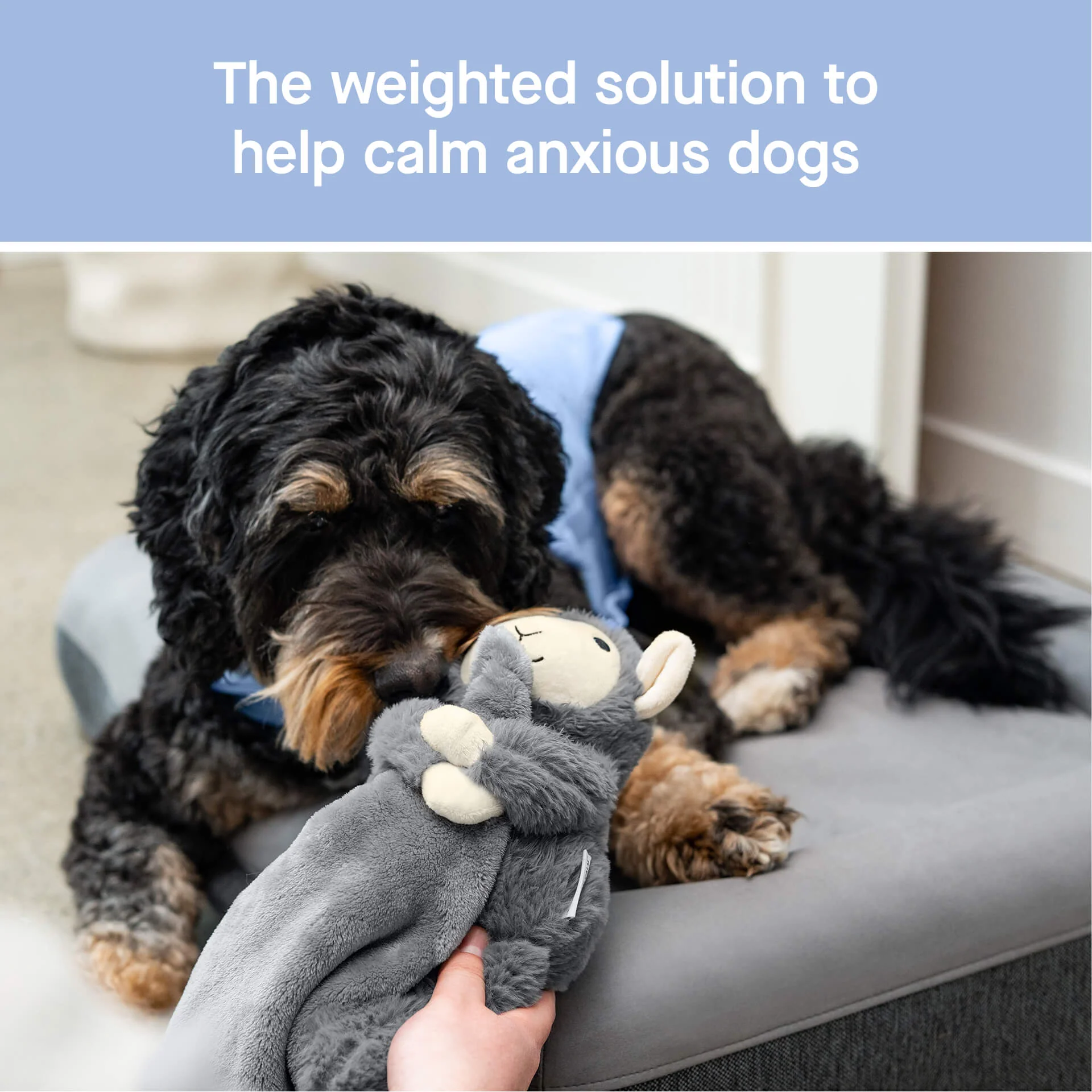 Canada Pooch Weighted Calming Toy - Image 2