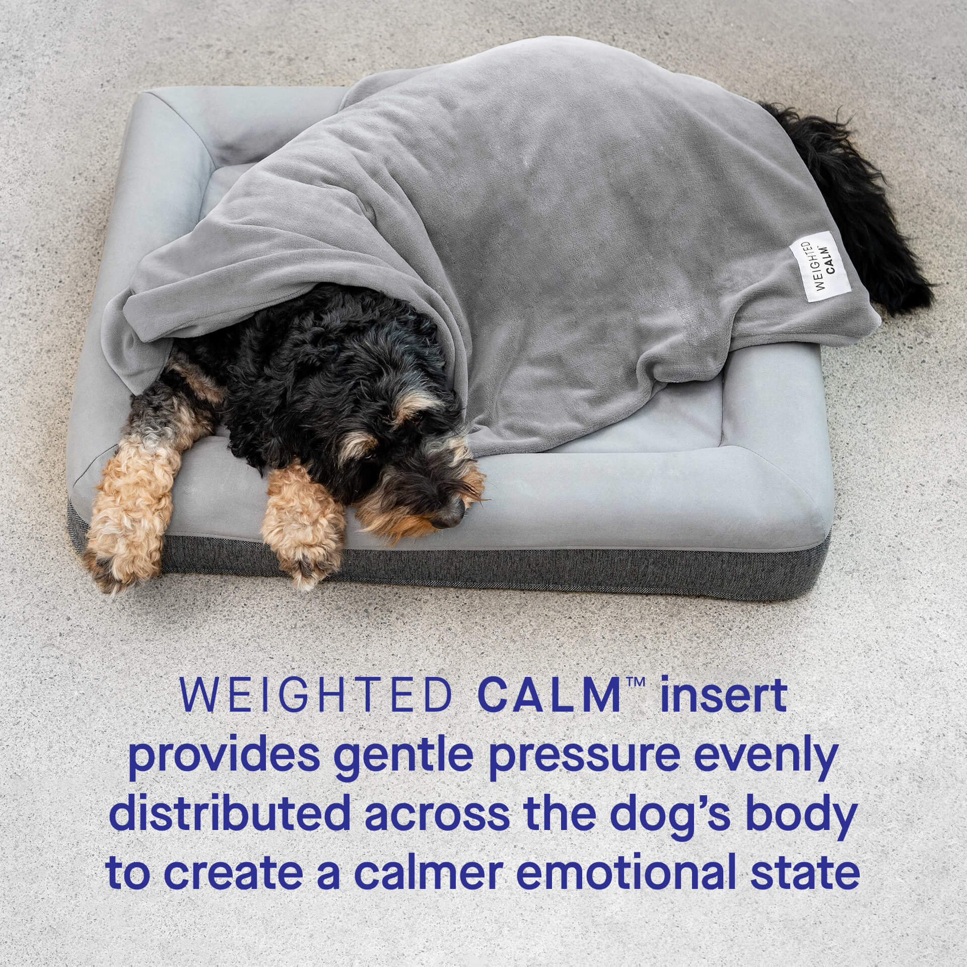 Canada Pooch Weighted Calming Blanket - Image 4
