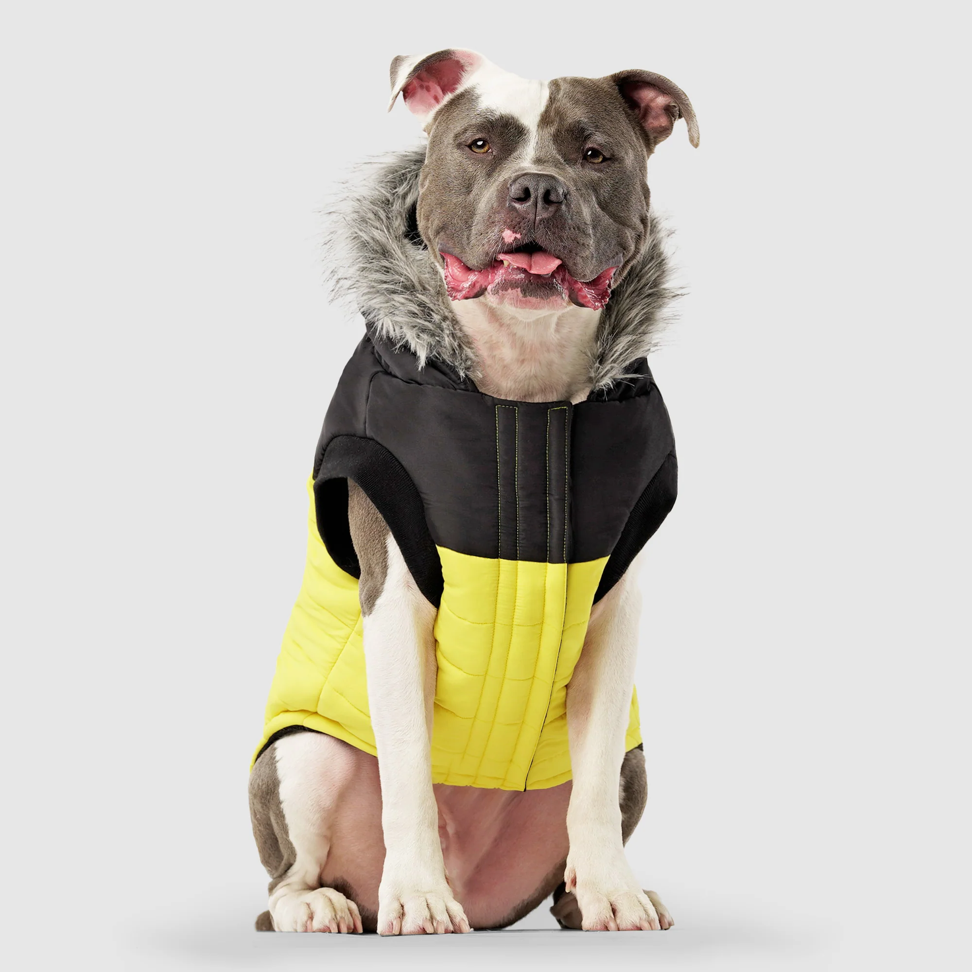 Canada Pooch True North Parka - Image 18