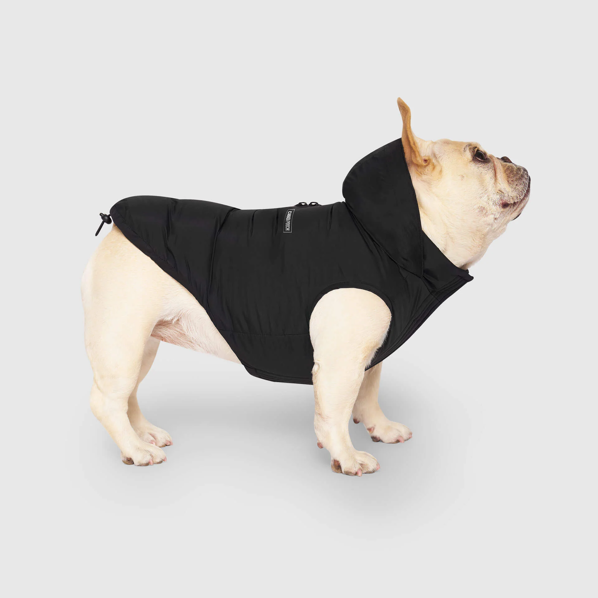 Canada Pooch Waterproof Puffer