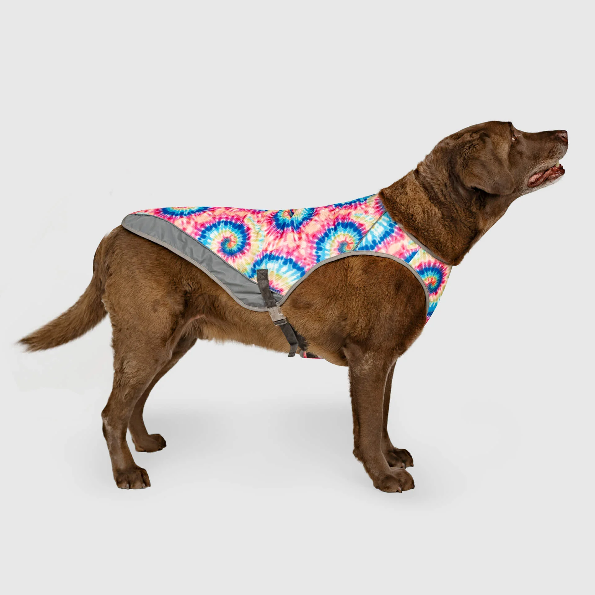 Canada Pooch Chill Seeker Cooling Vest - Image 20