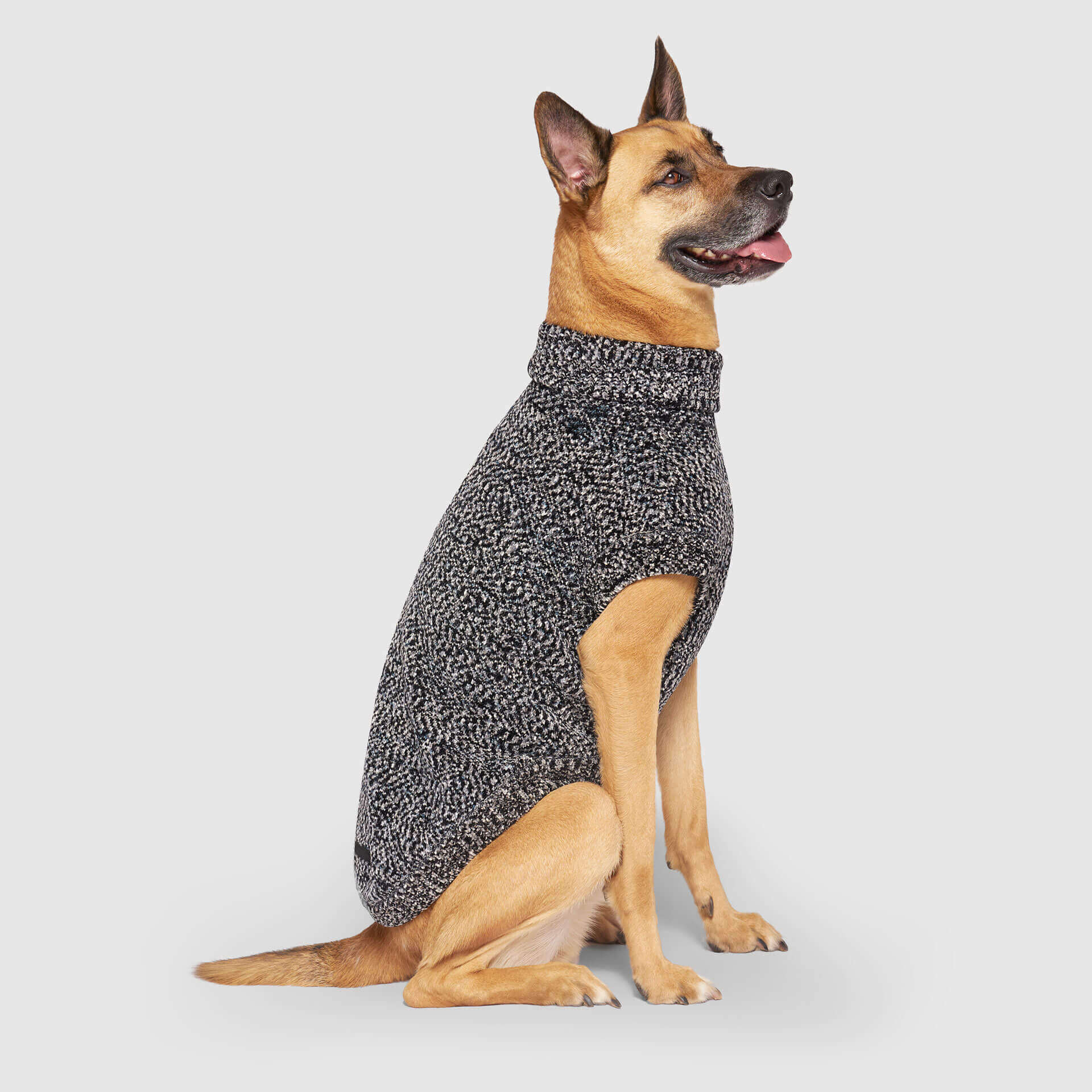 Canada Pooch Soho Sweater - Image 10
