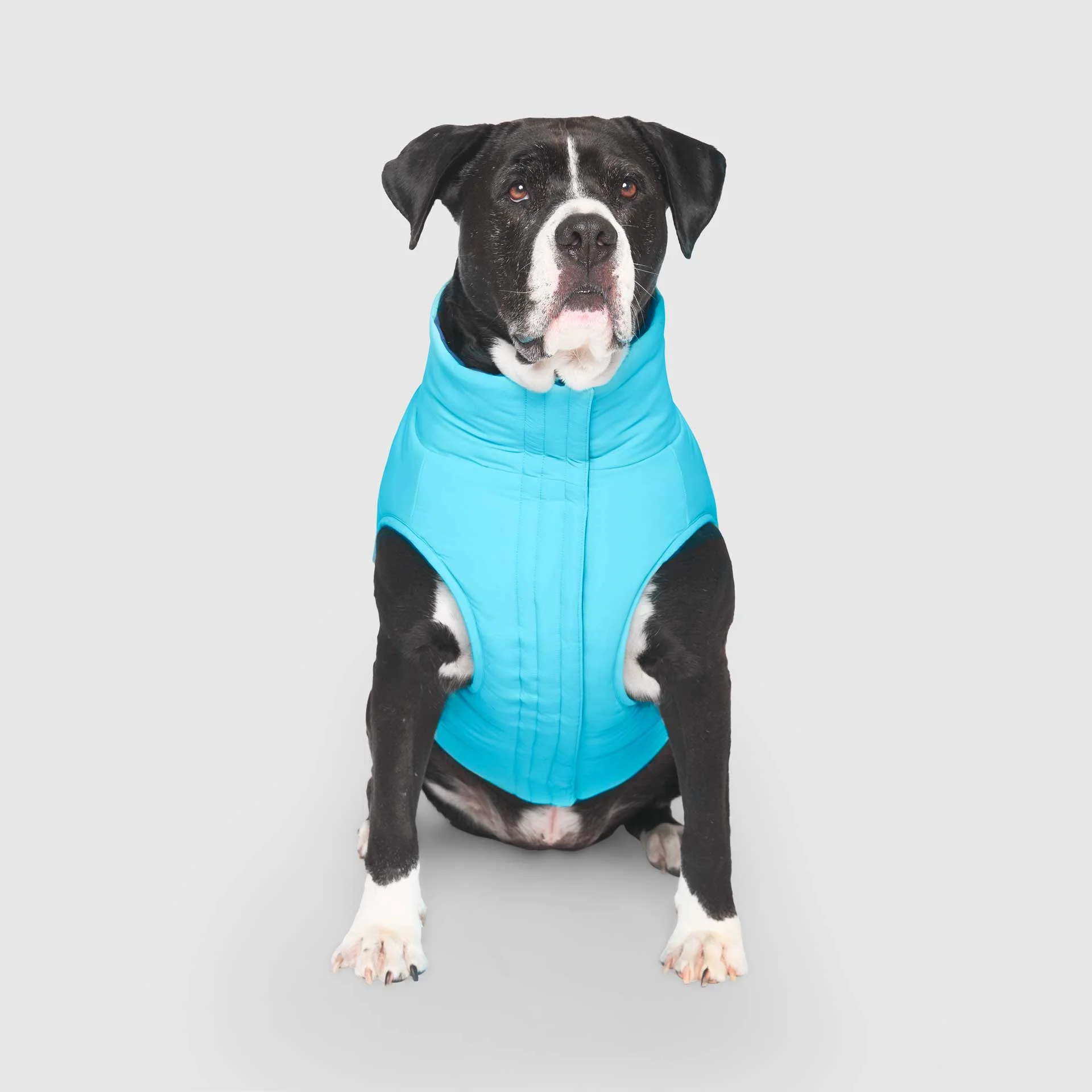 Canada Pooch Reversible Puffer Vest - Image 8