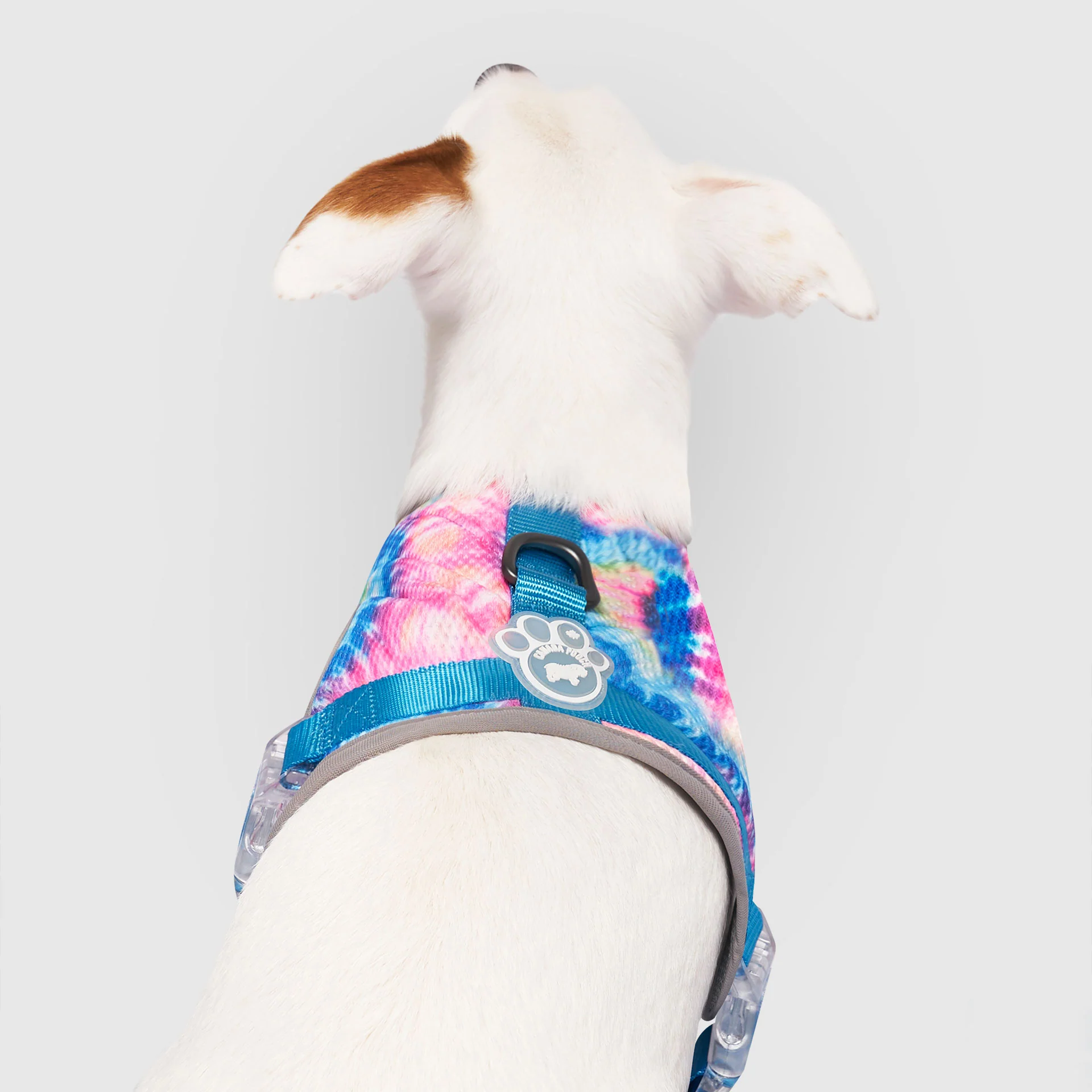 Canada Pooch Chill Seeker Cooling Harness - Image 8