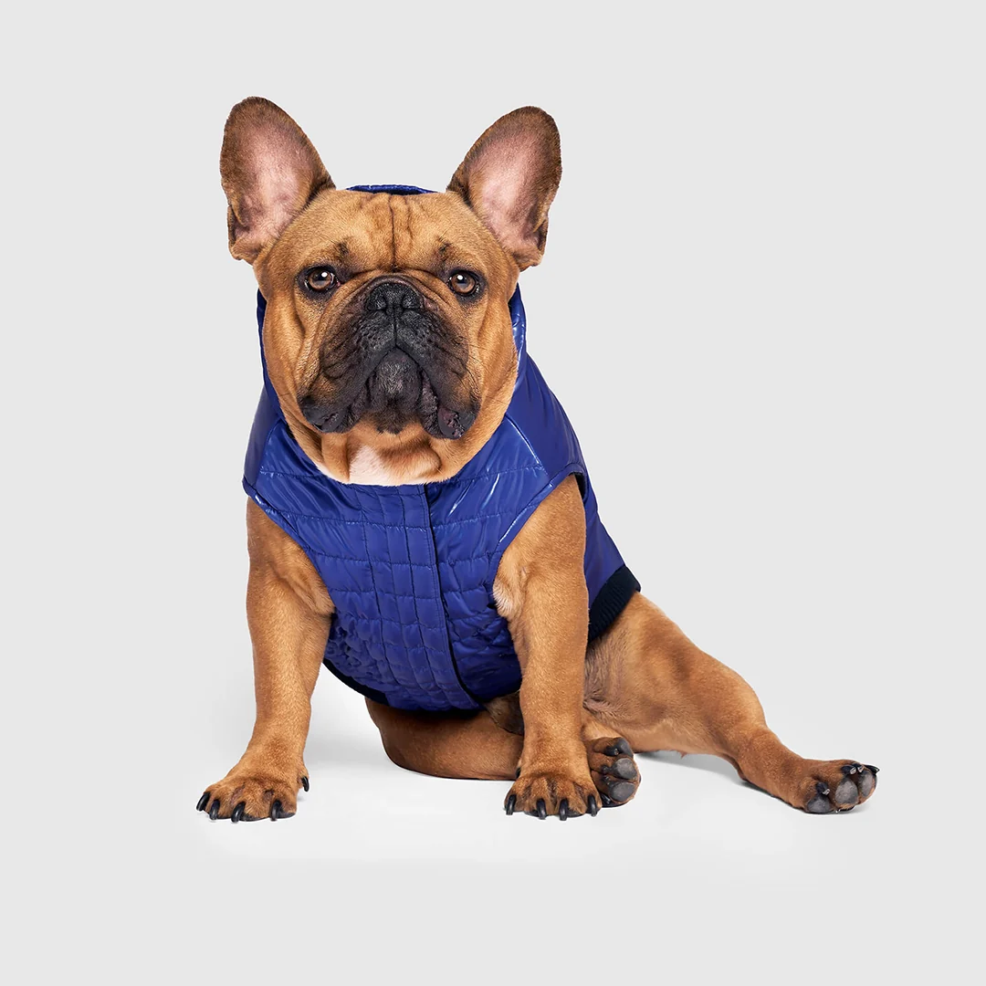Canada Pooch Shiny Puffer Vest - Image 14