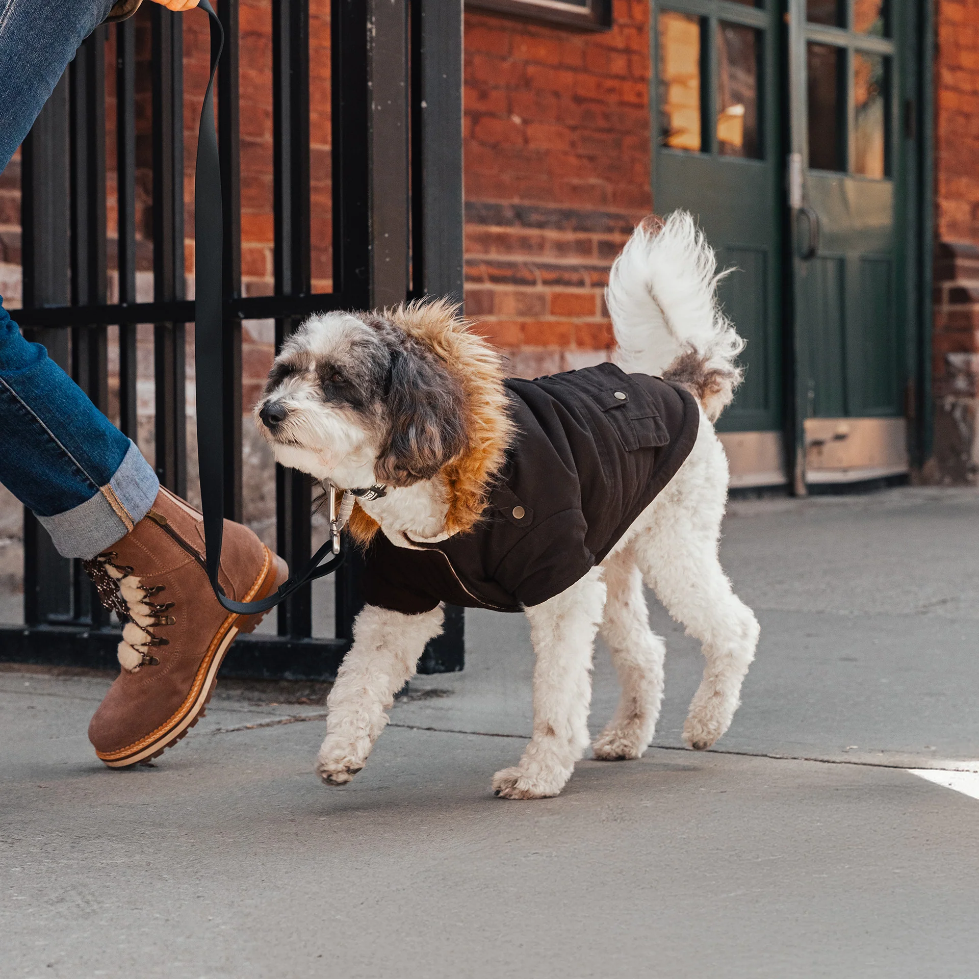 Canada Pooch Alaskan Army Parka - Image 22