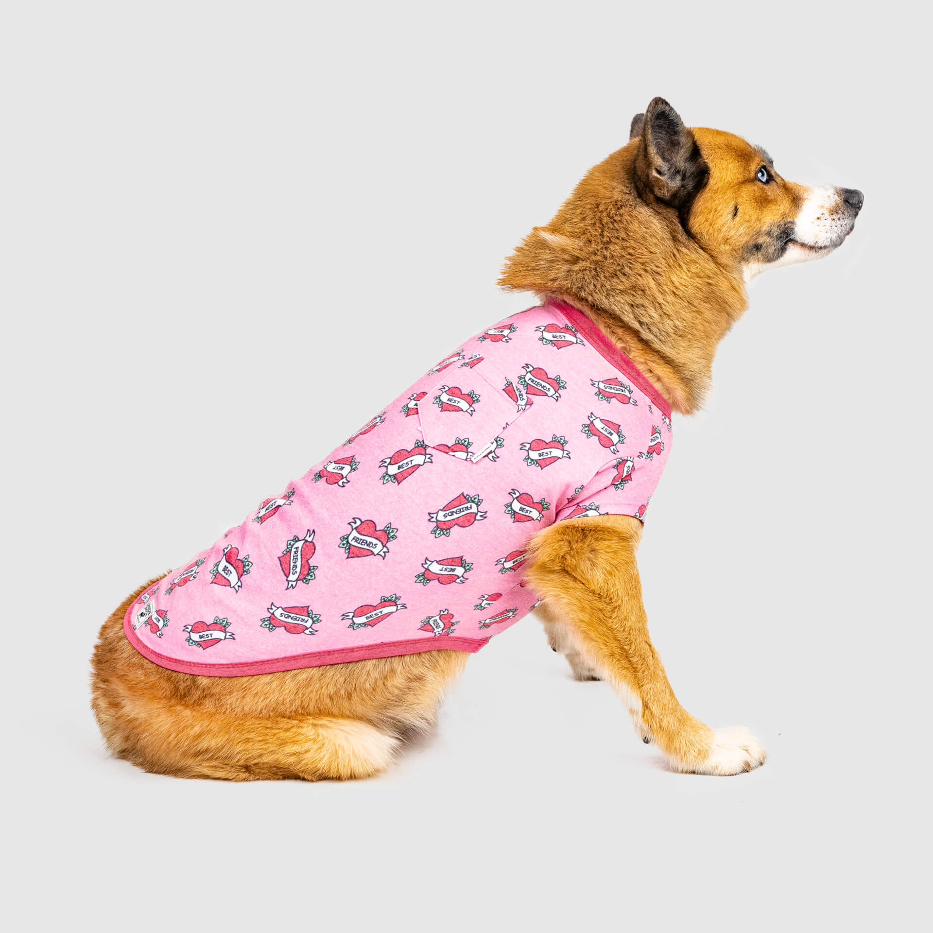 Canada Pooch Follow Me Tee - Image 6