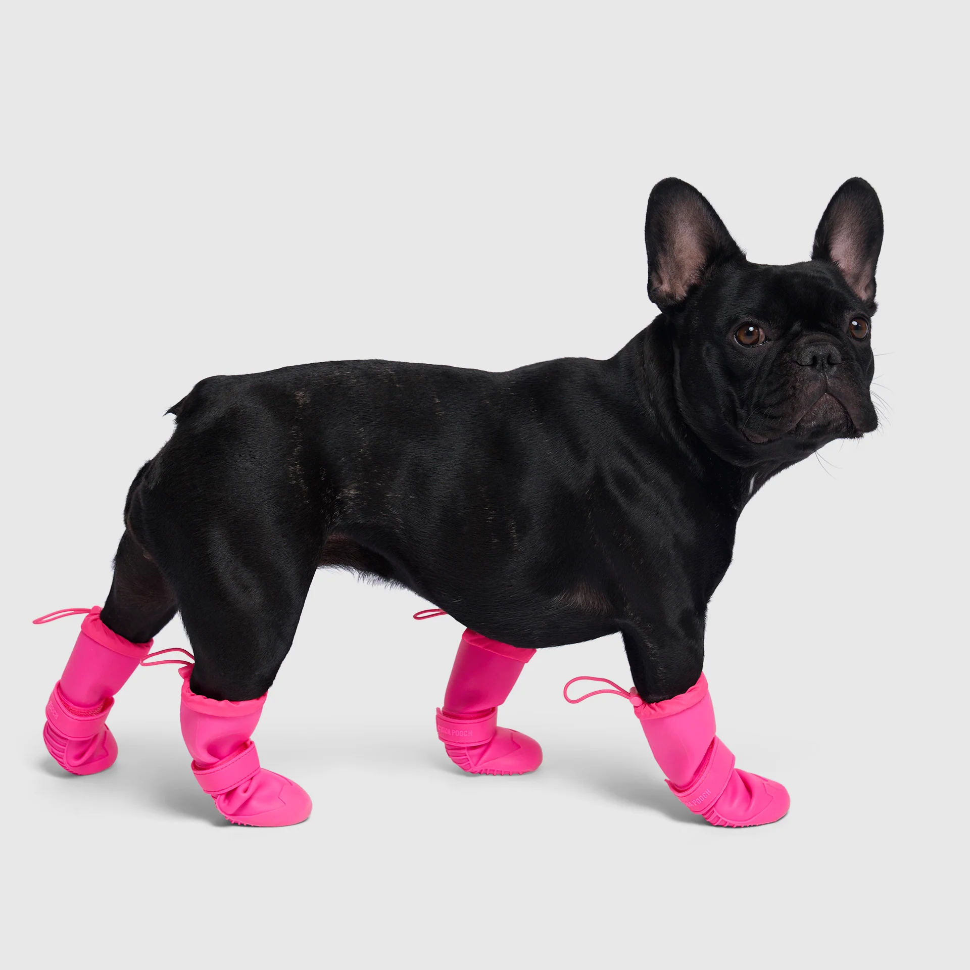 Canada Pooch Waterproof Rain Boots - Image 13