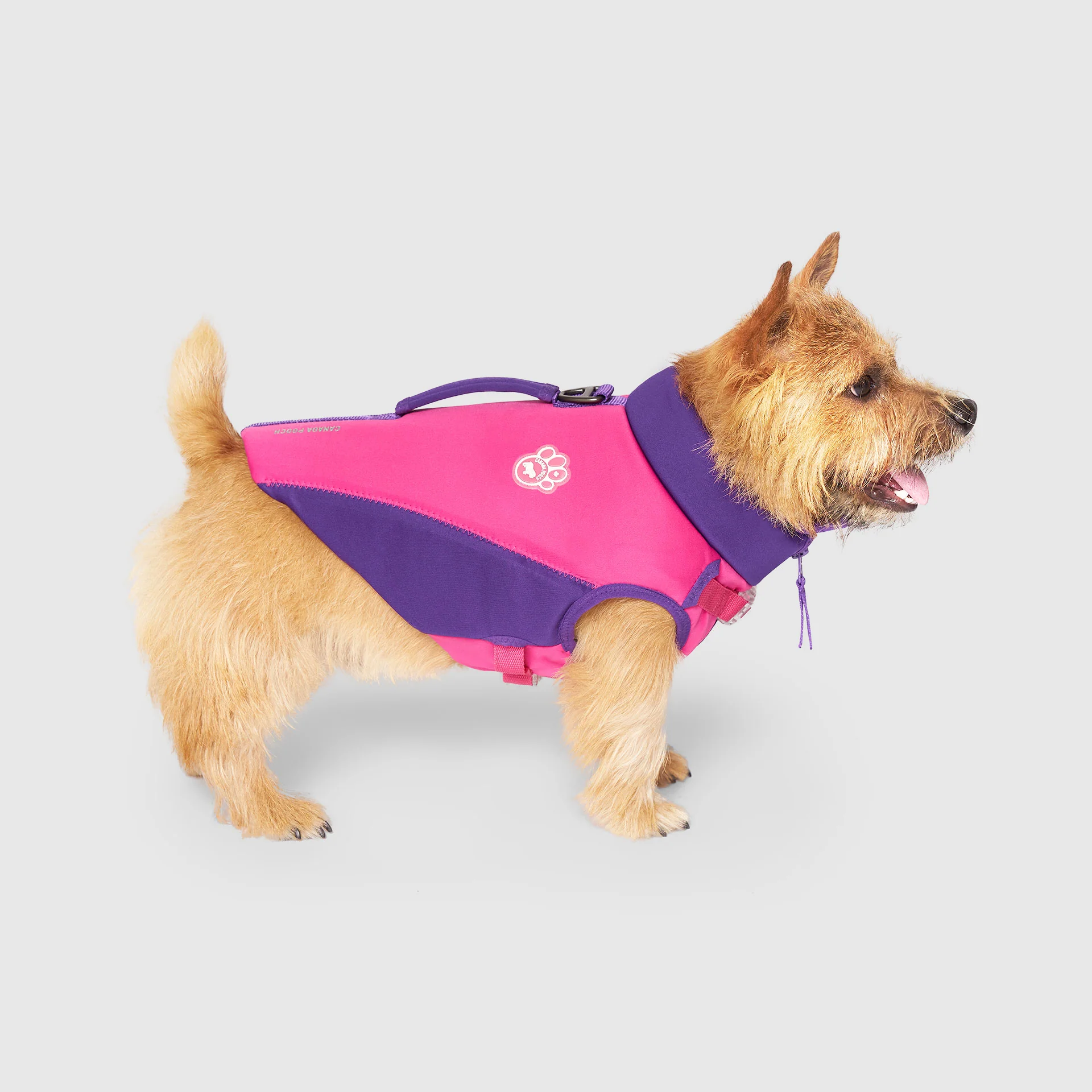 Canada Pooch High Tide Life Jacket - Image 6