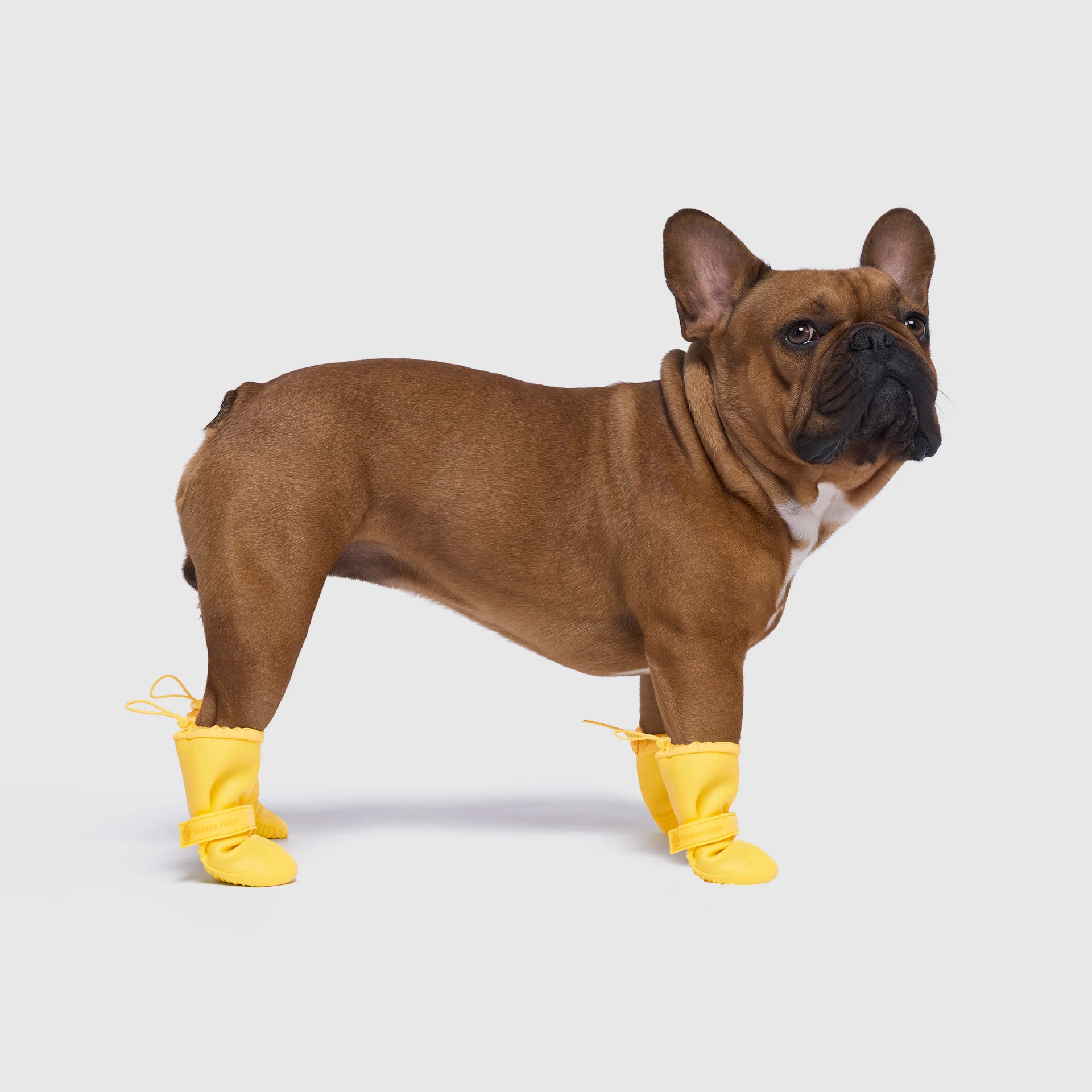 Canada Pooch Waterproof Rain Boots - Image 2
