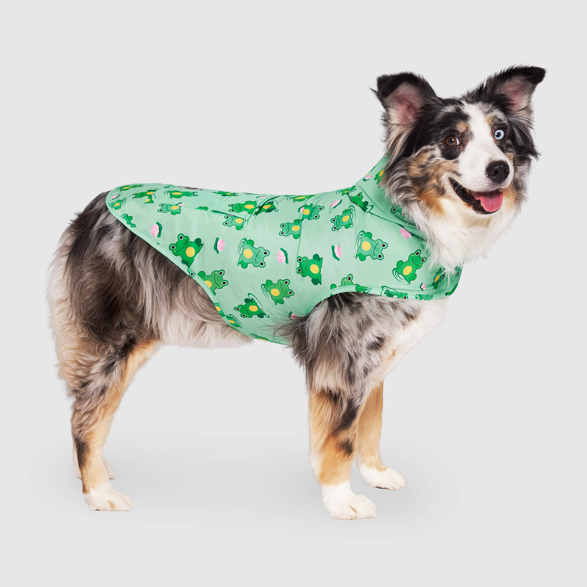 Canada Pooch Pick Me Poncho — SKU SB-A53199-ADDD5996031858 - Image 15