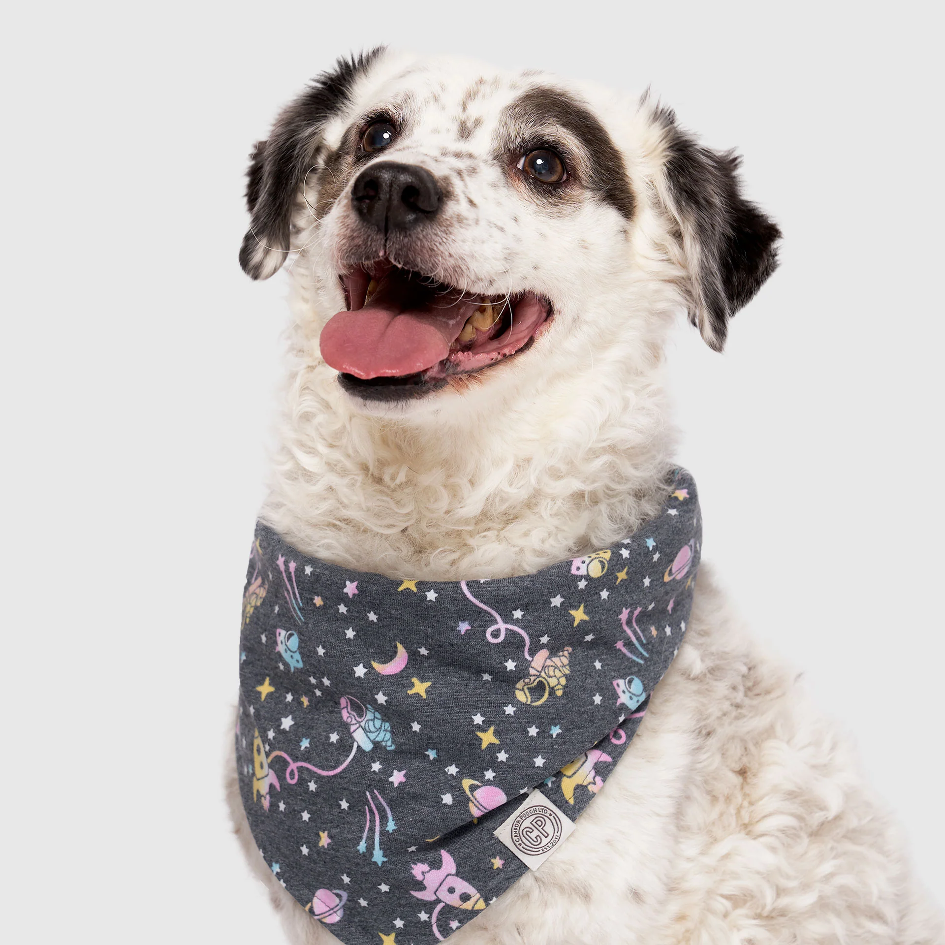 Canada Pooch Follow Me Bandana