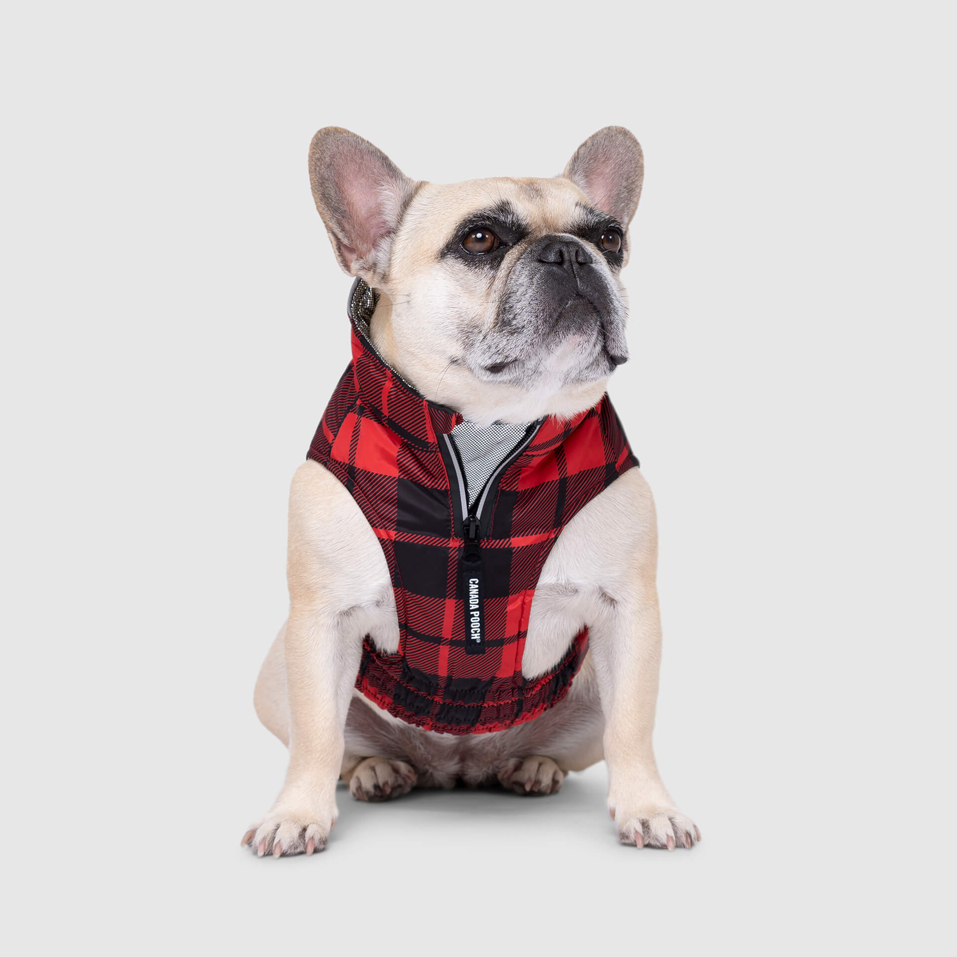 Canada Pooch Expedition Coat 2.0 - Image 6