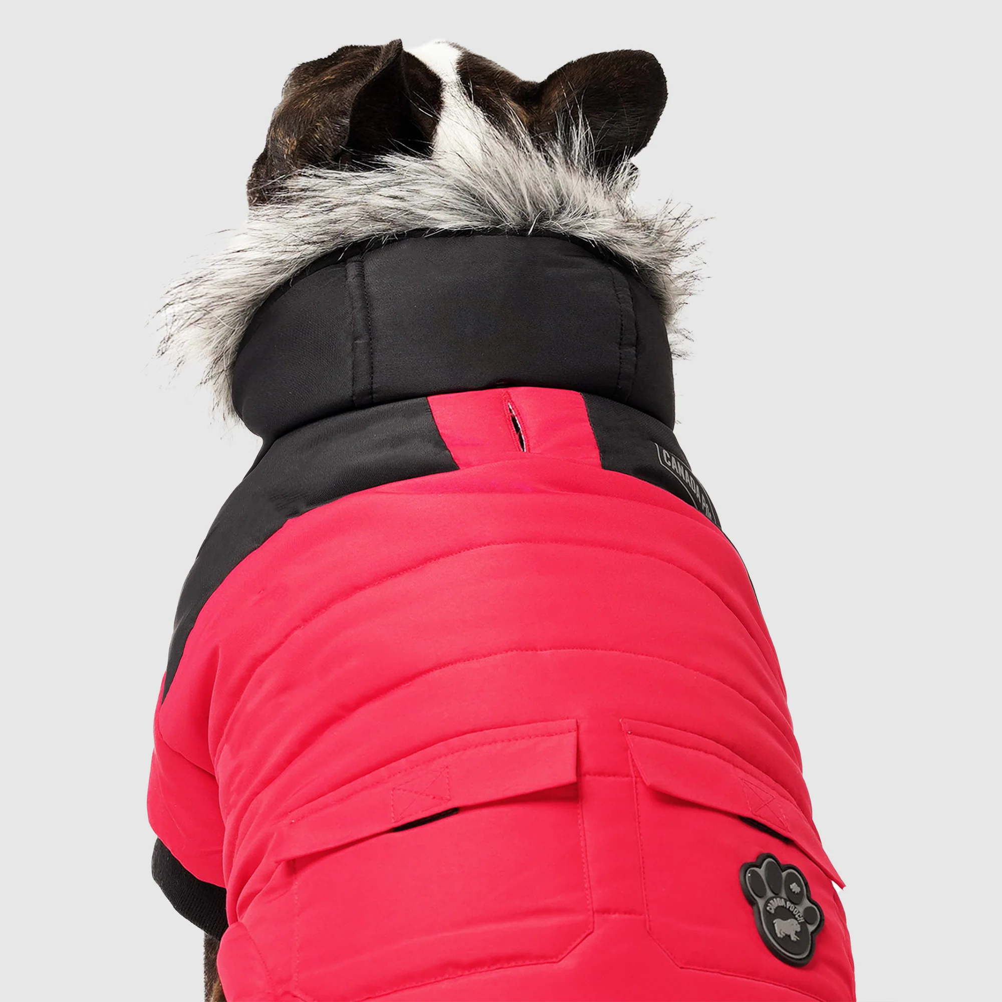 Canada Pooch True North Parka - Image 14